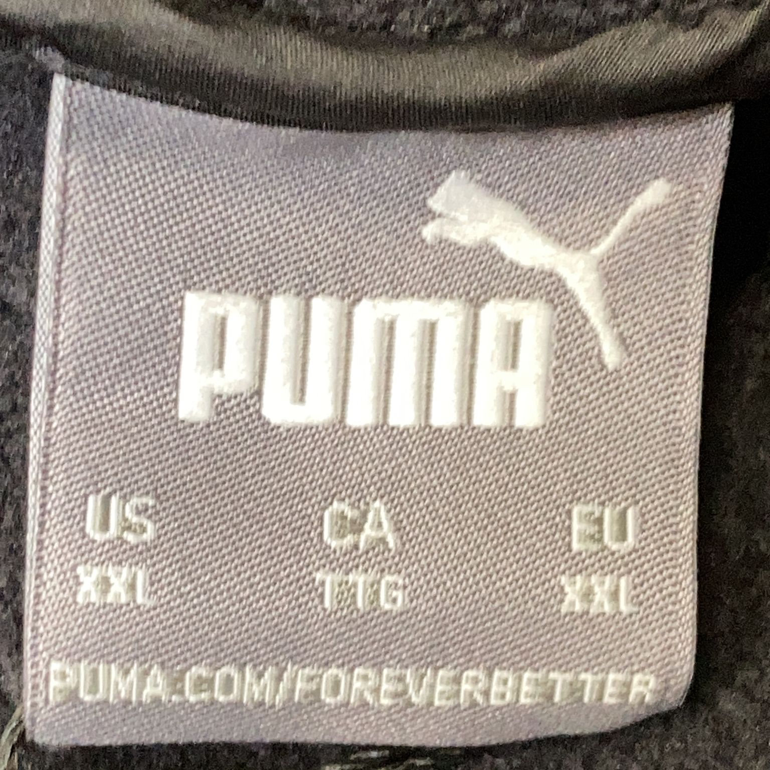 Puma