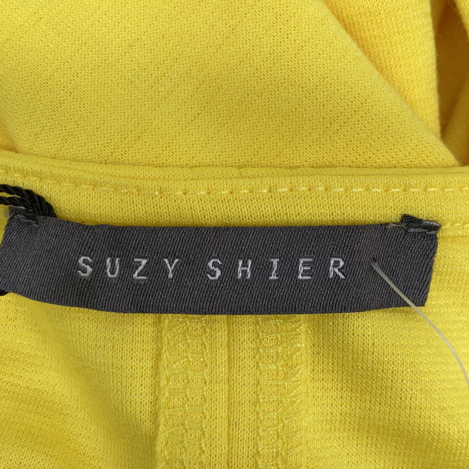 Suzy Shier