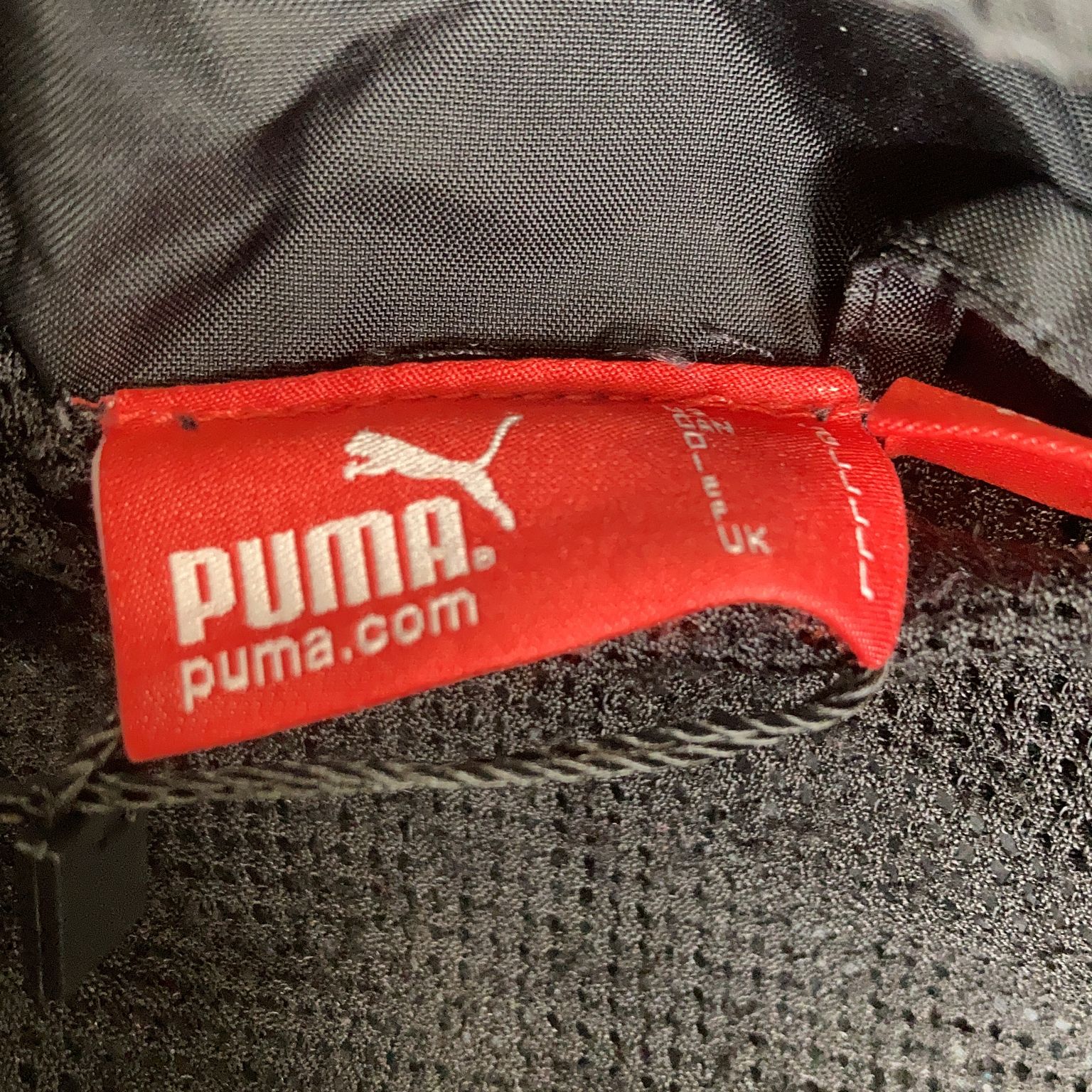 Puma