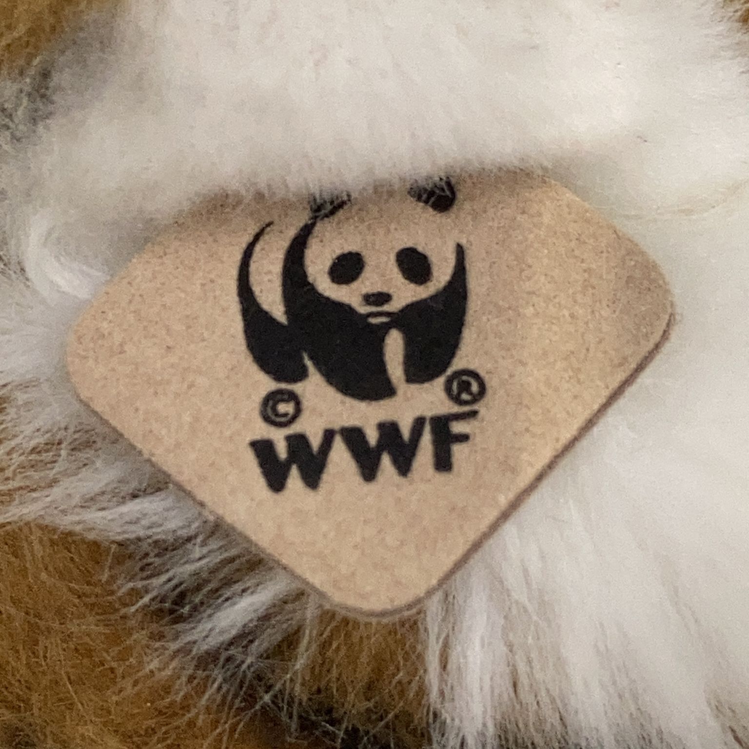 WWF