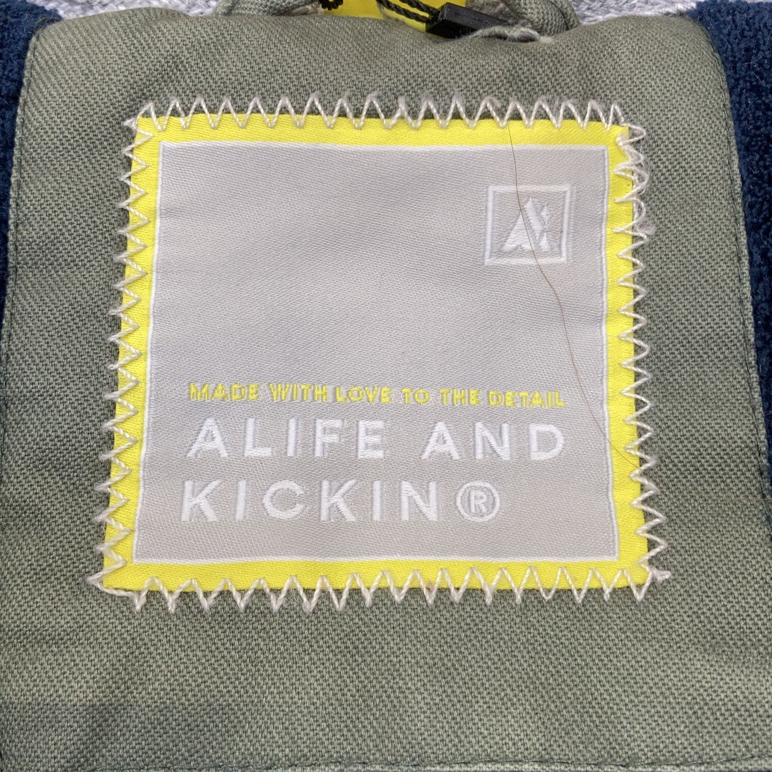 Alife and Kickin