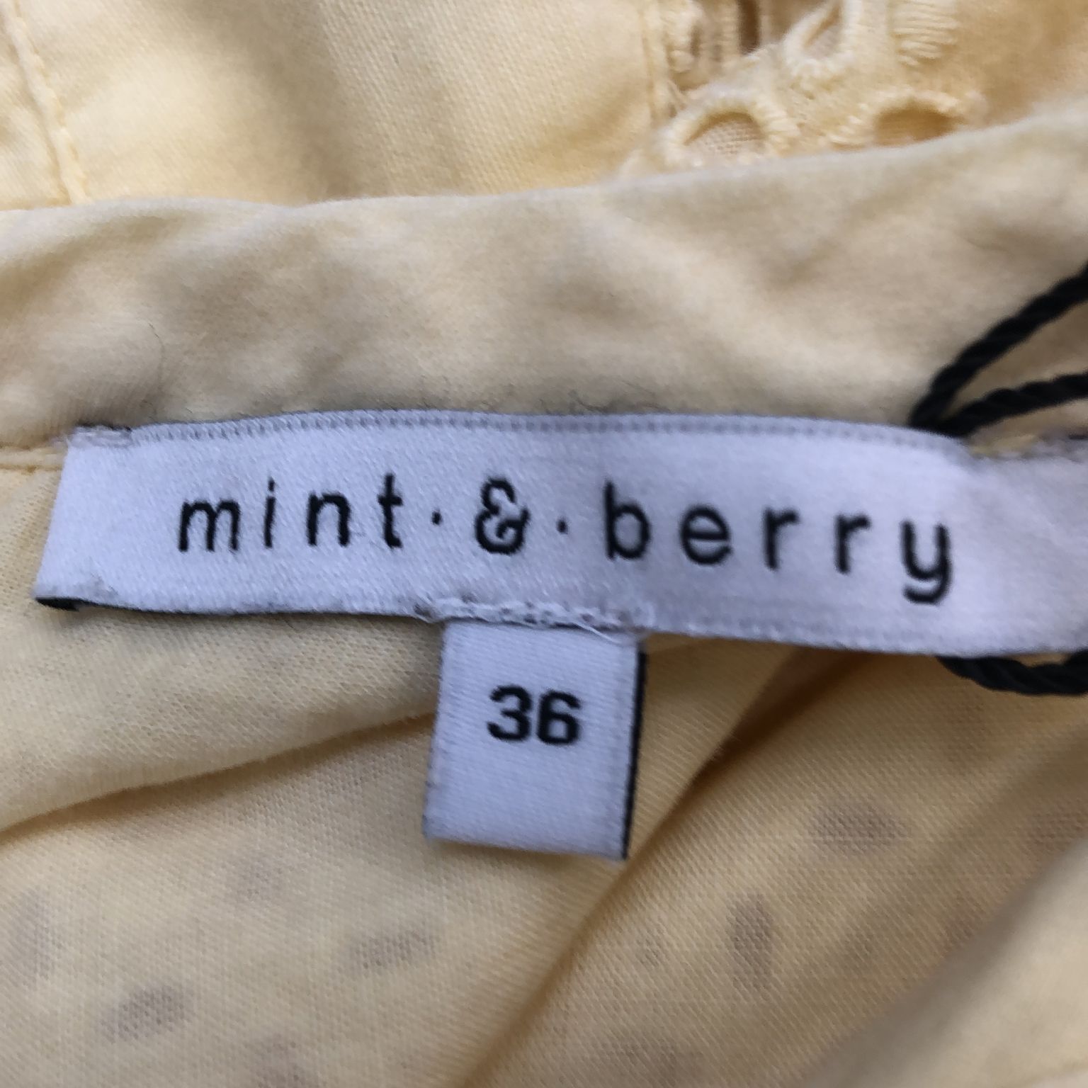 Mint  Berry