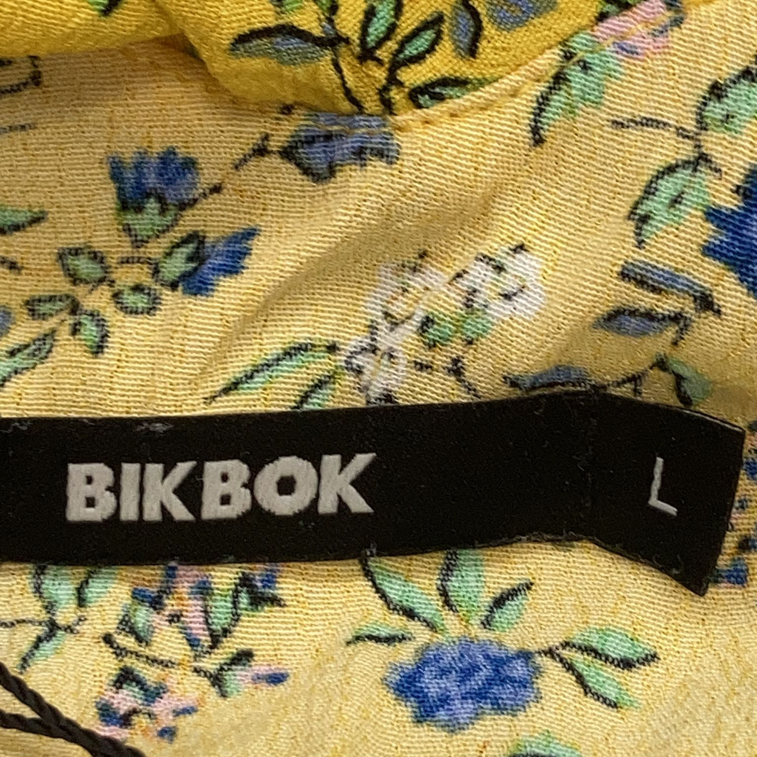 Bik Bok