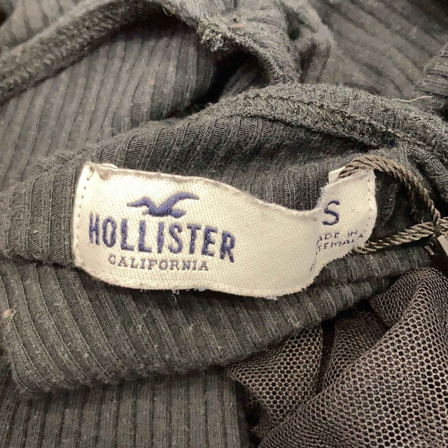 Hollister