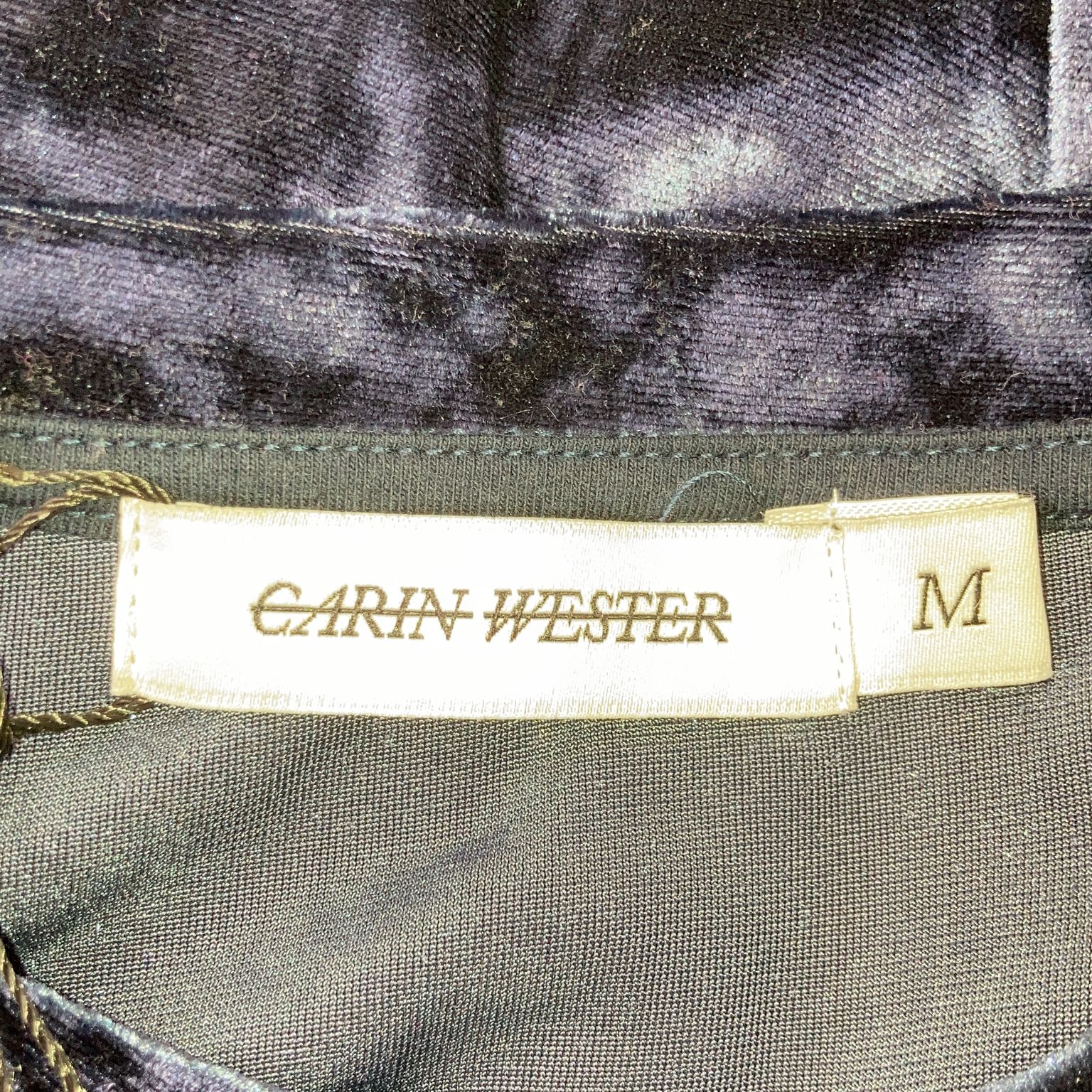 Carin Wester