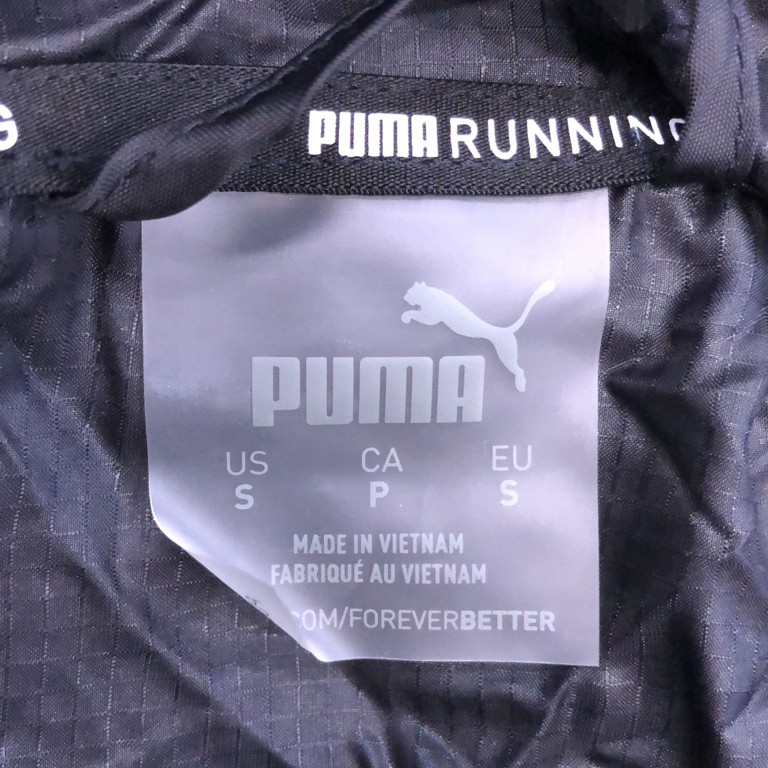 Puma