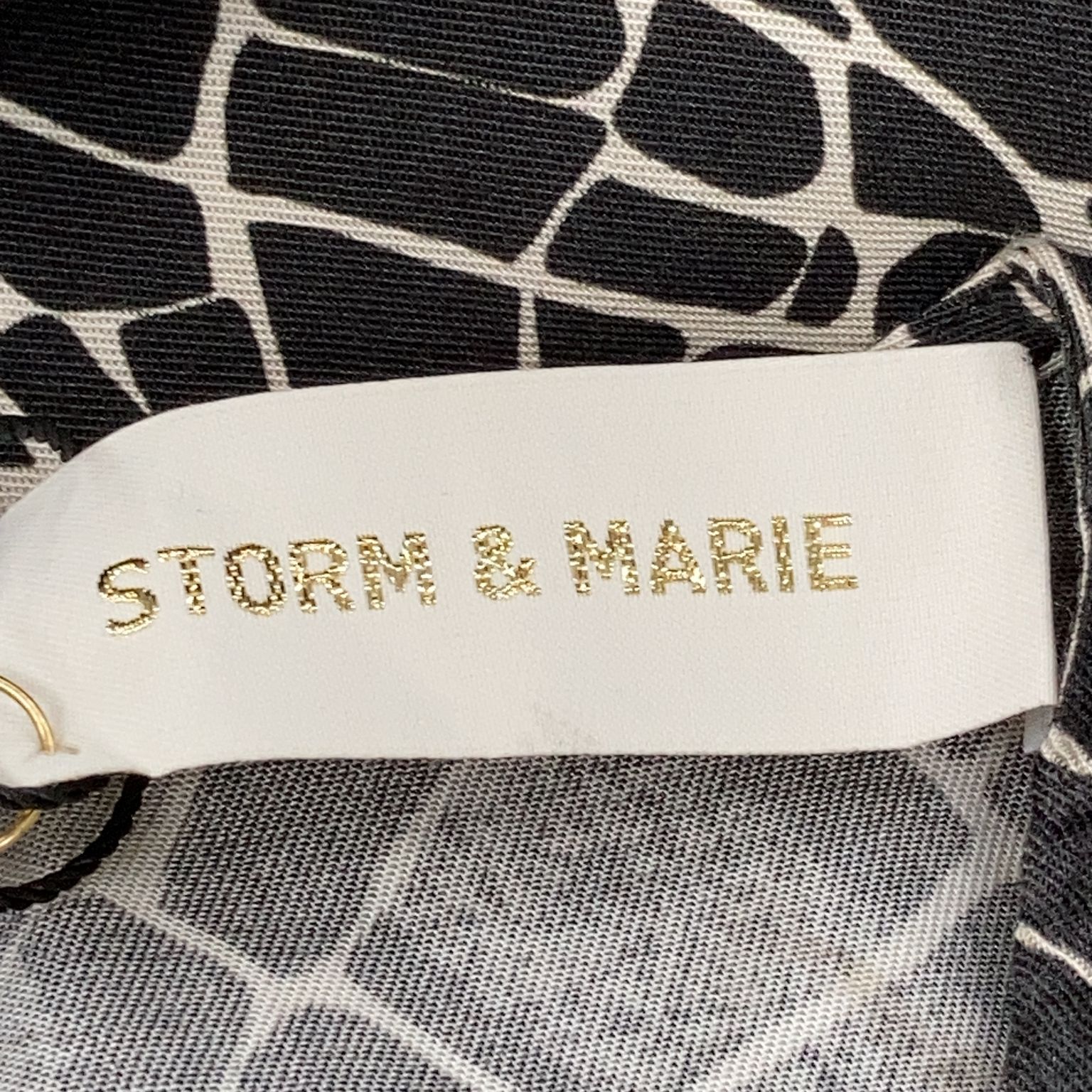 Storm  Marie