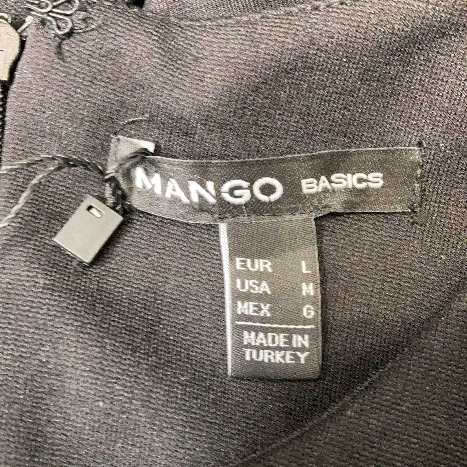 Mango Basics