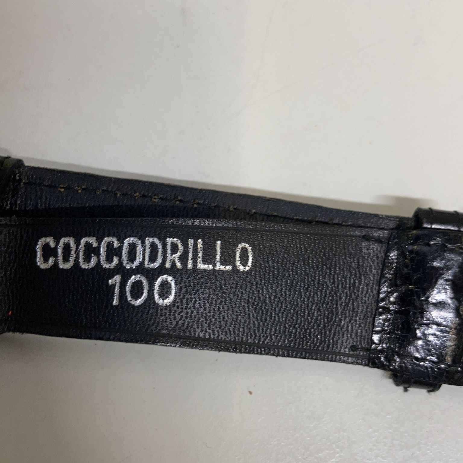 Coccodrillo