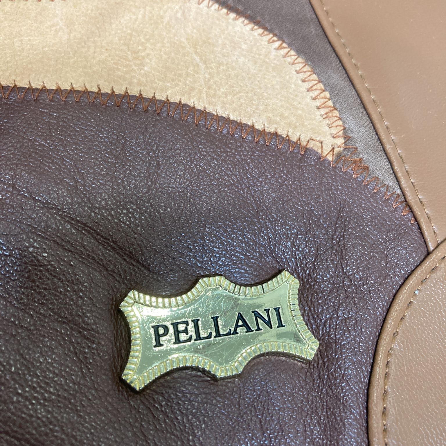 Pellani