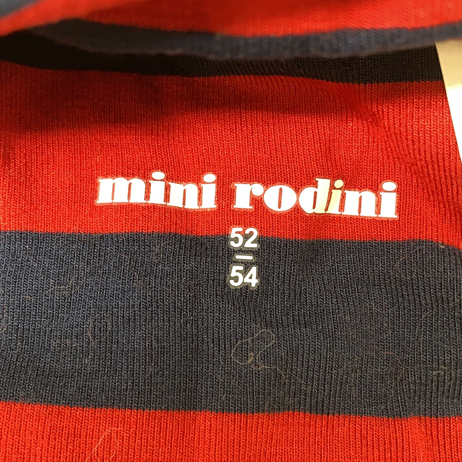 Mini Rodini