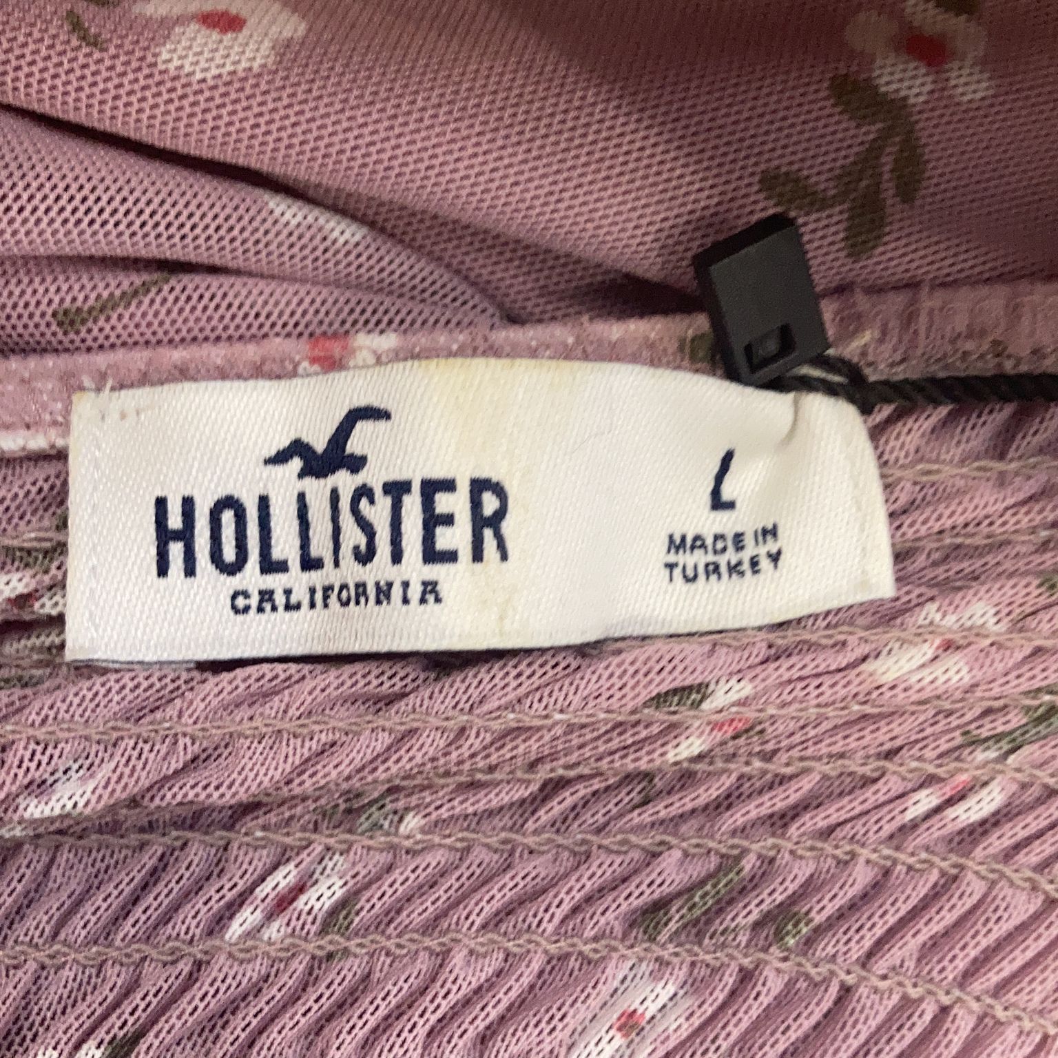 Hollister California