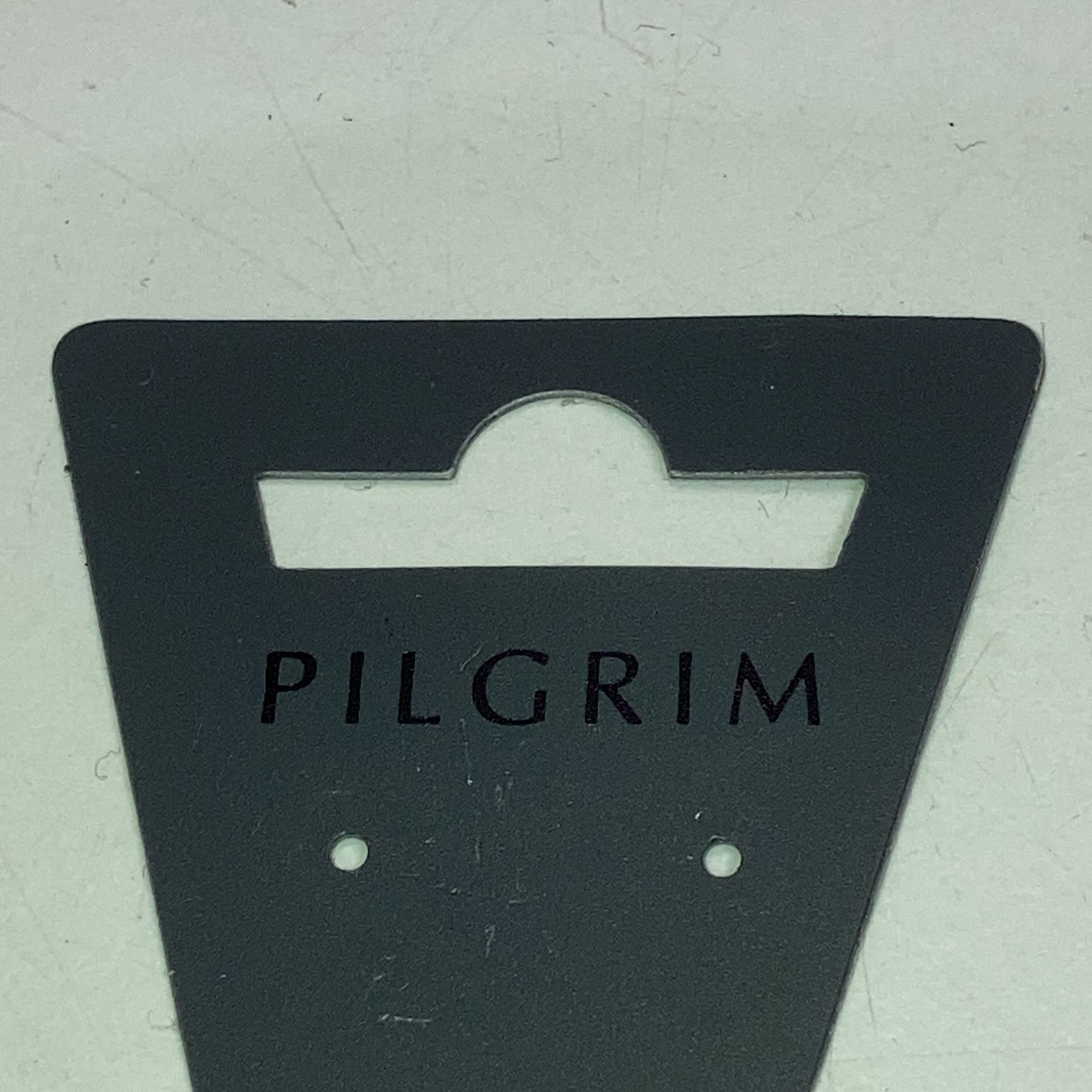 Pilgrim