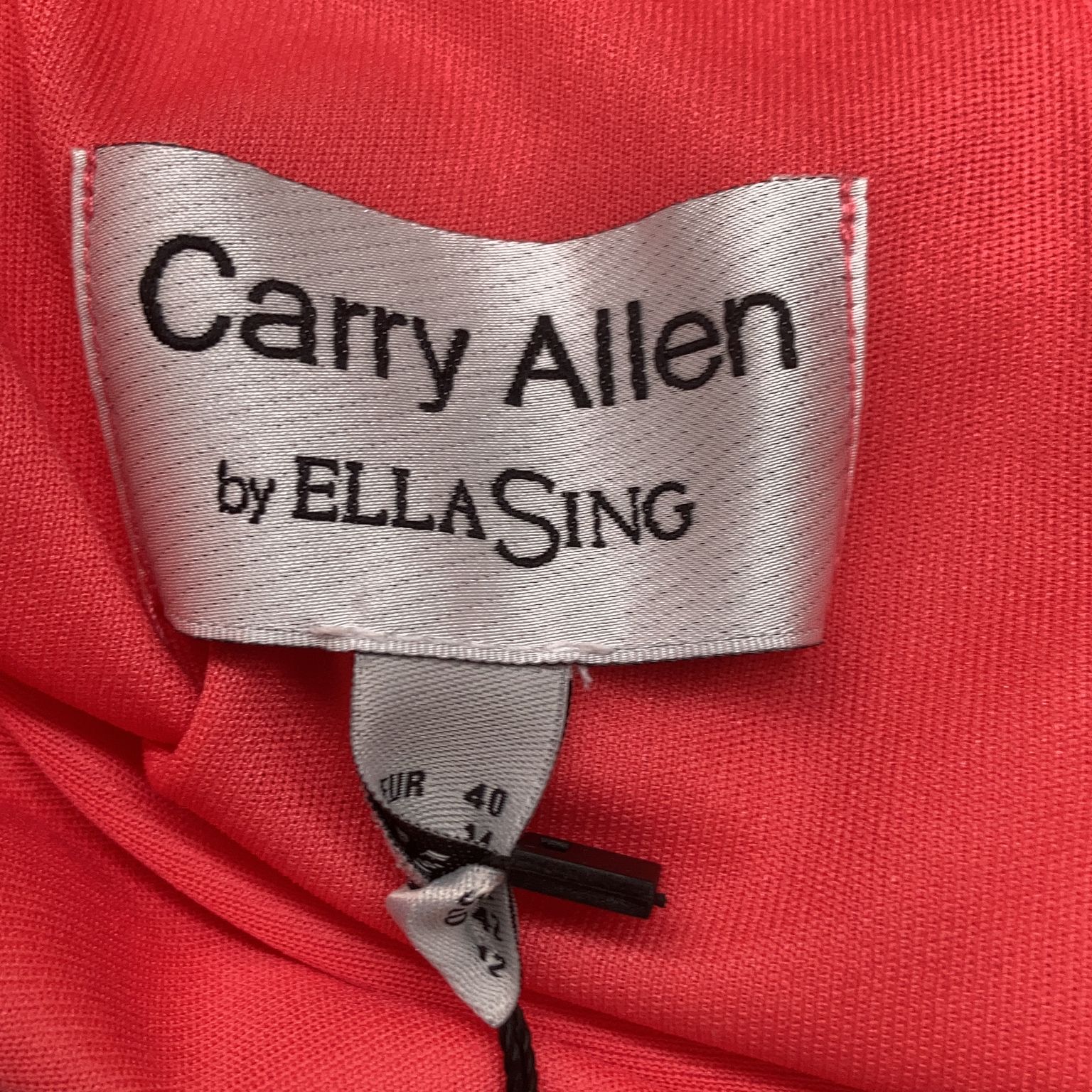 Carry Allen by Ella Singh