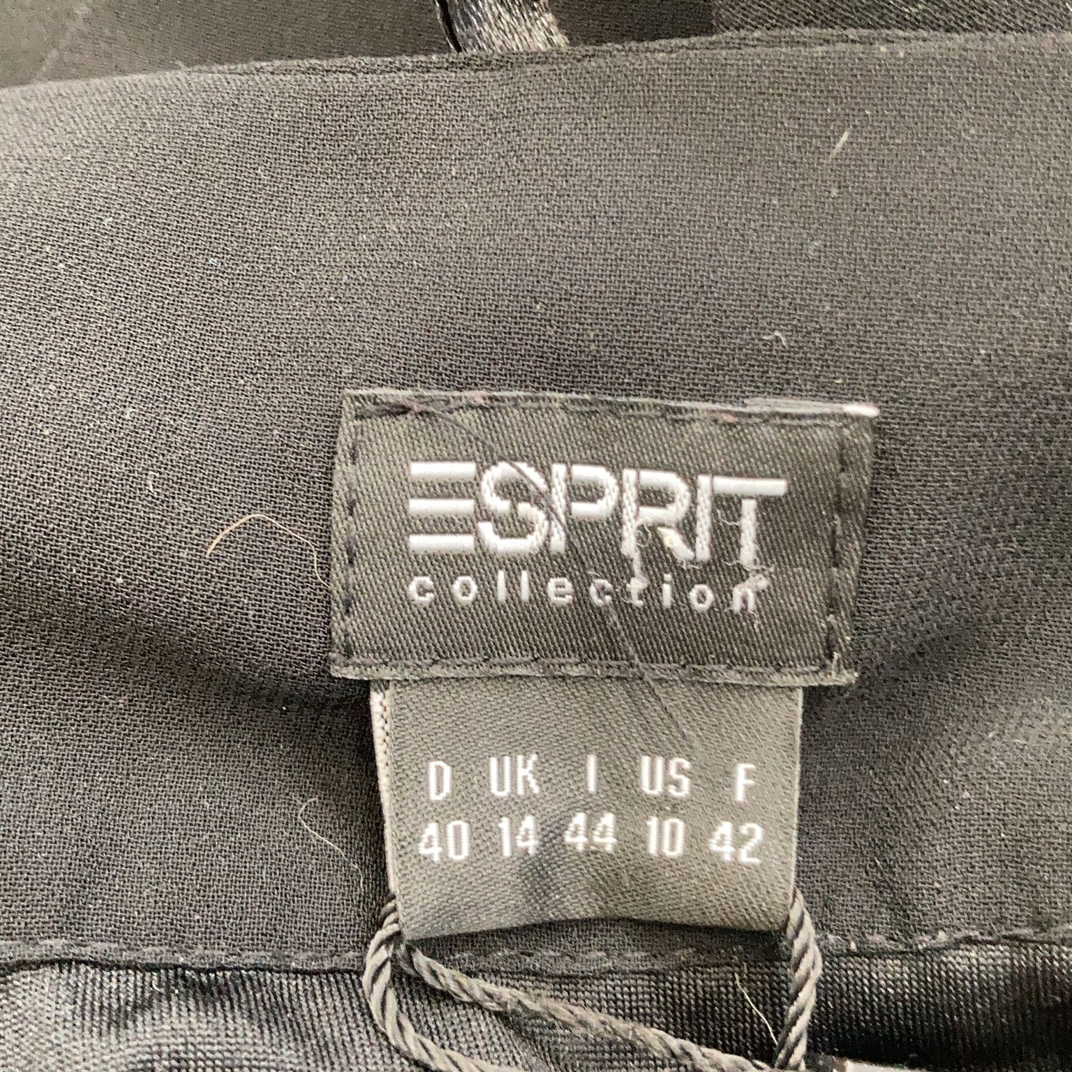 ESPRIT Collection