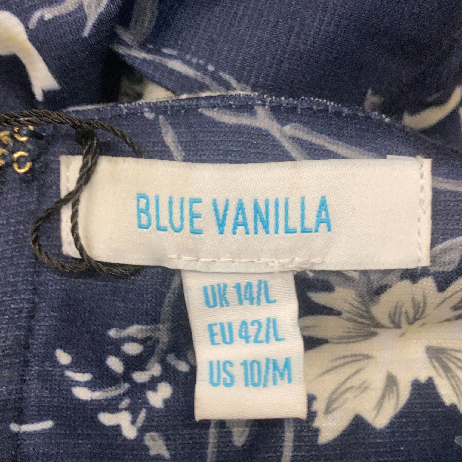 Blue Vanilla