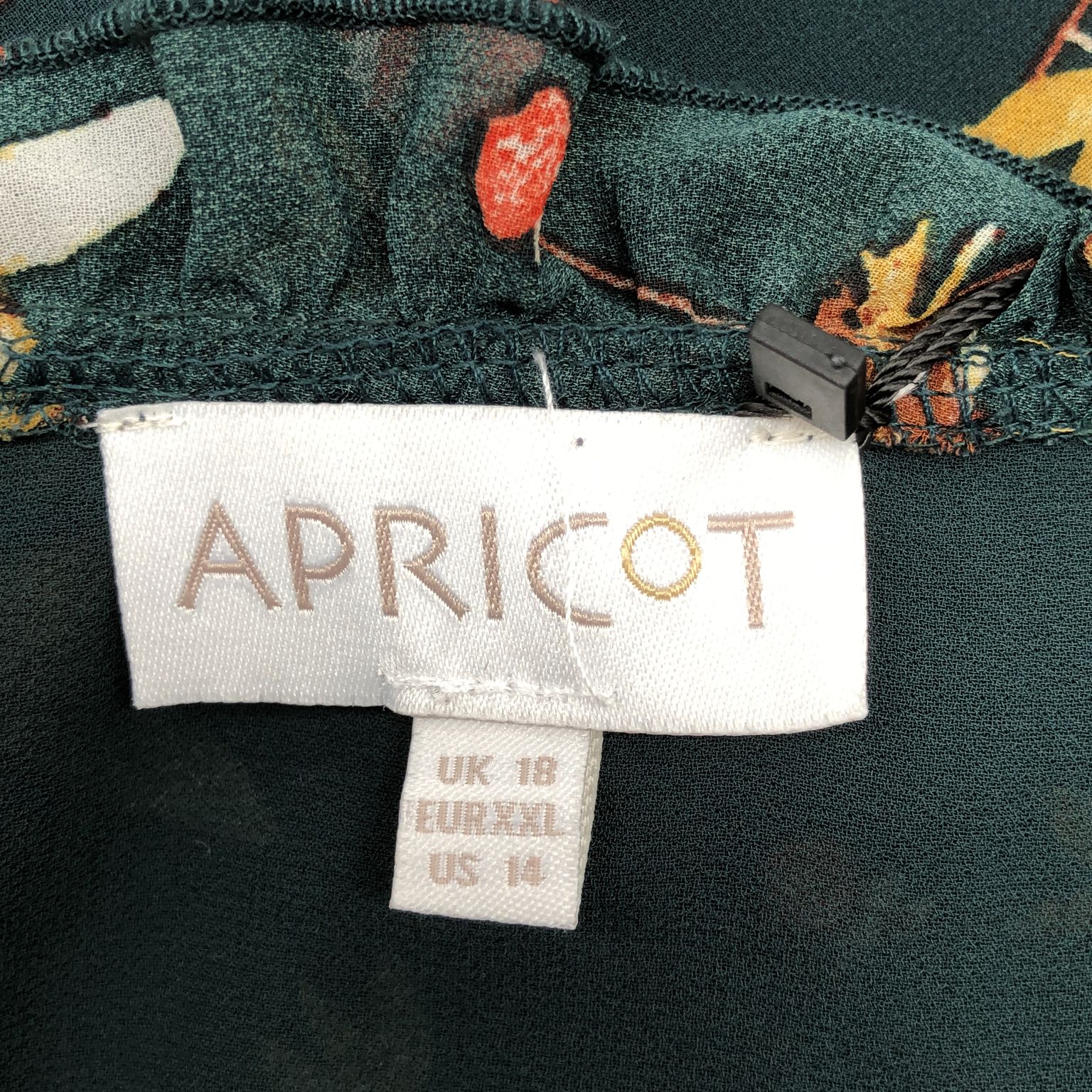 Apricot