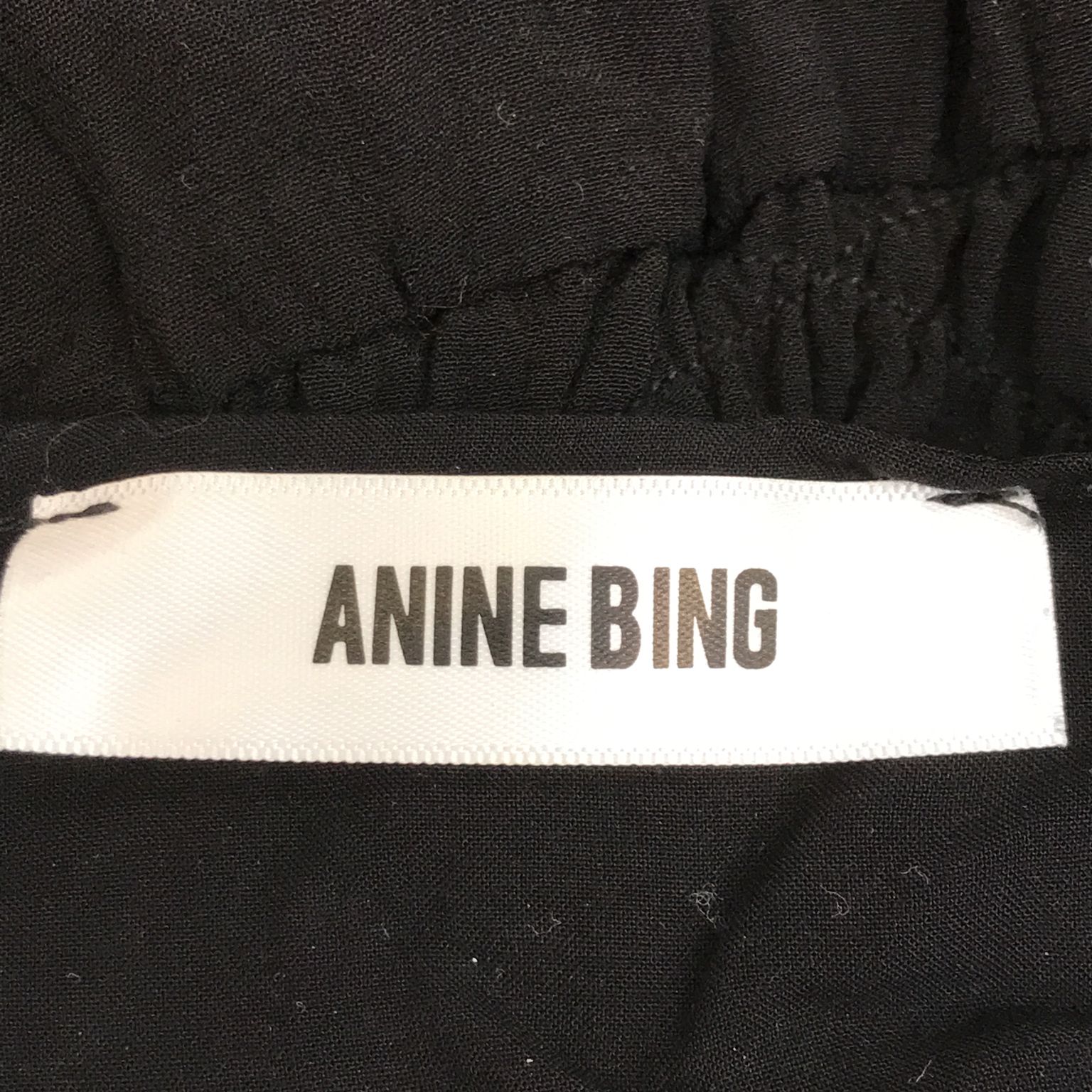 Anine Bing