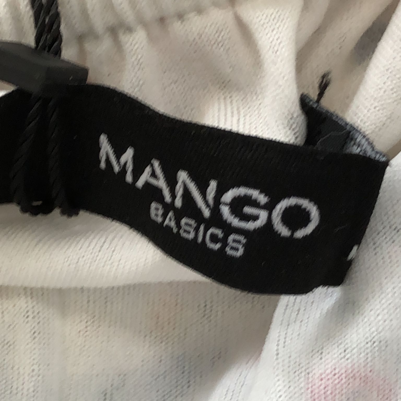 Mango Basics