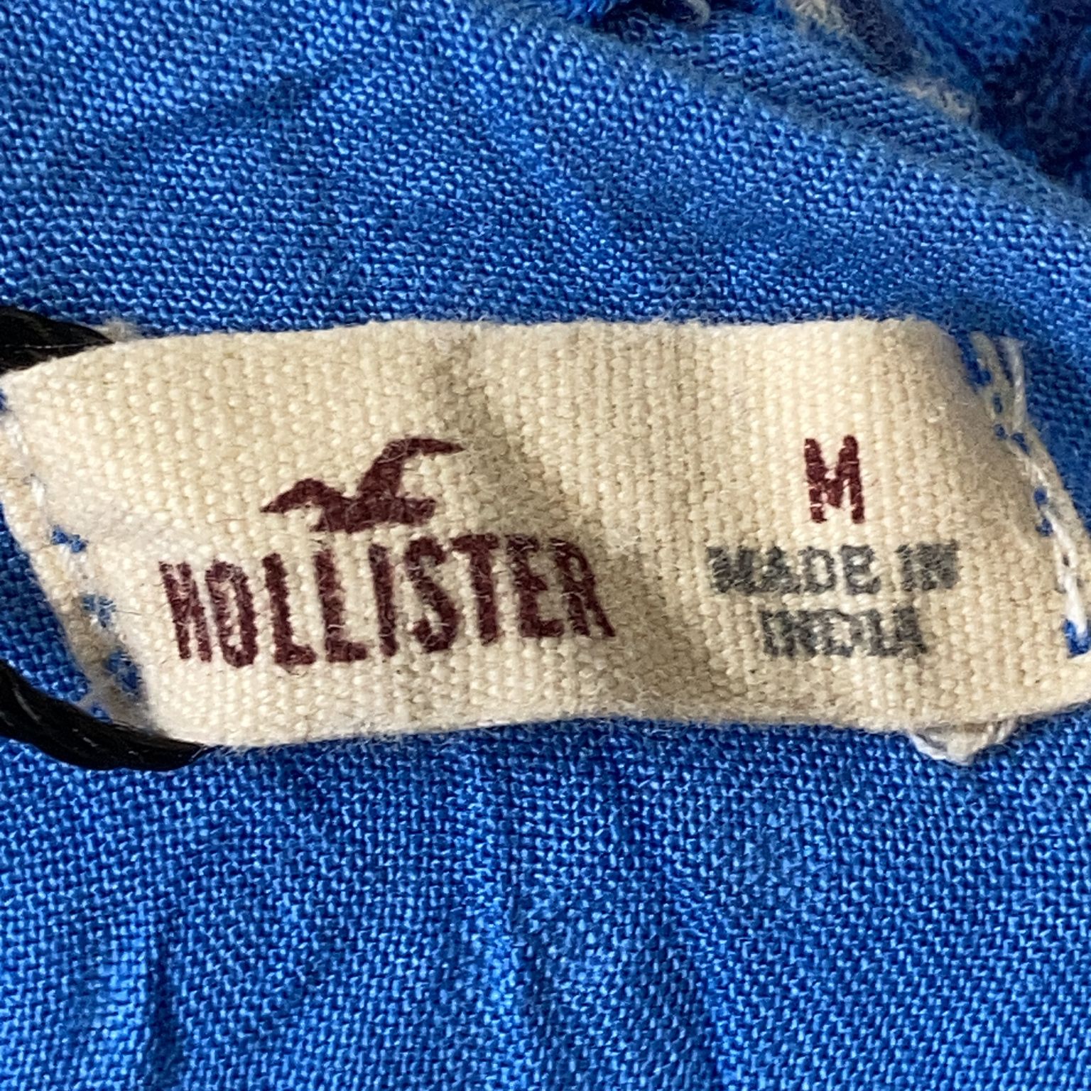 Hollister