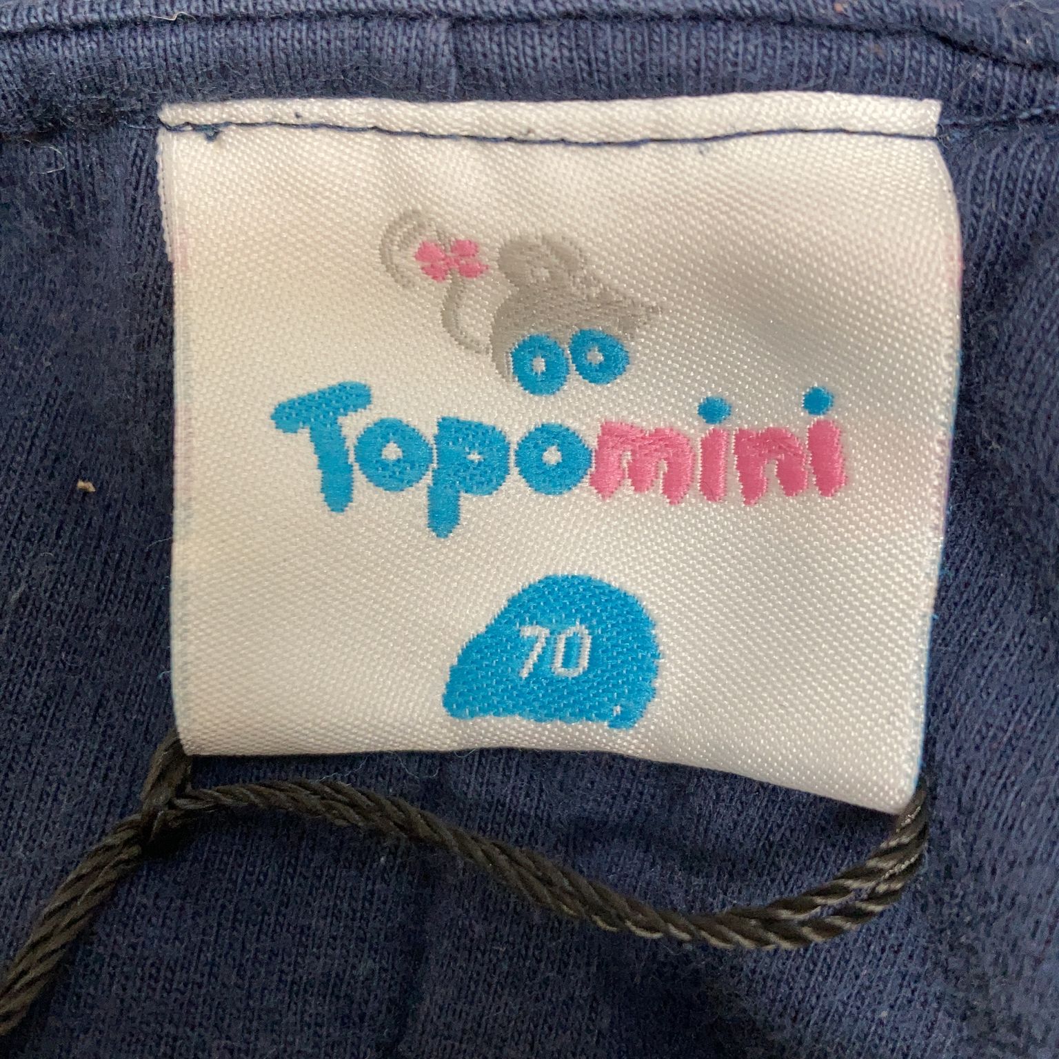 Topomini