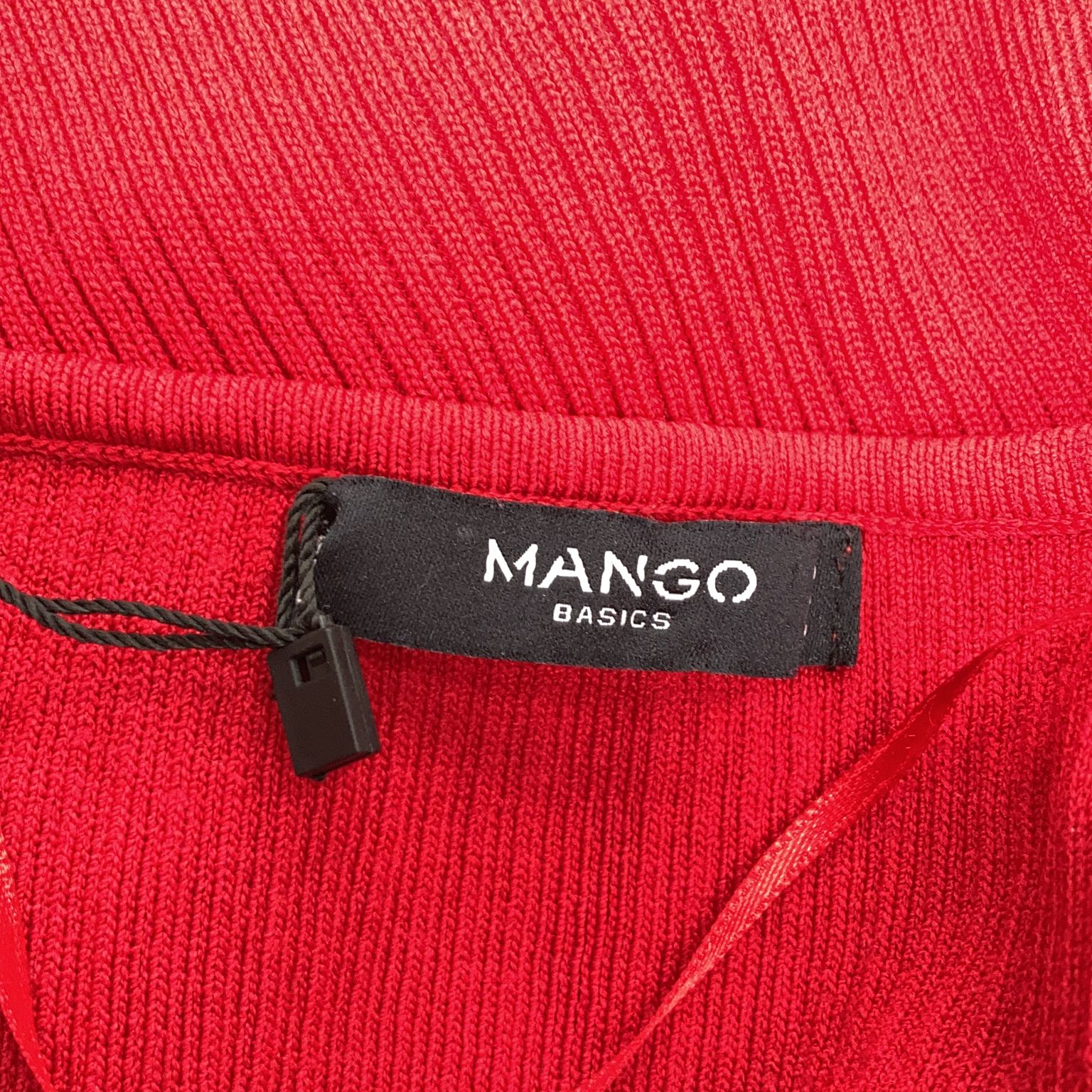 Mango Basics