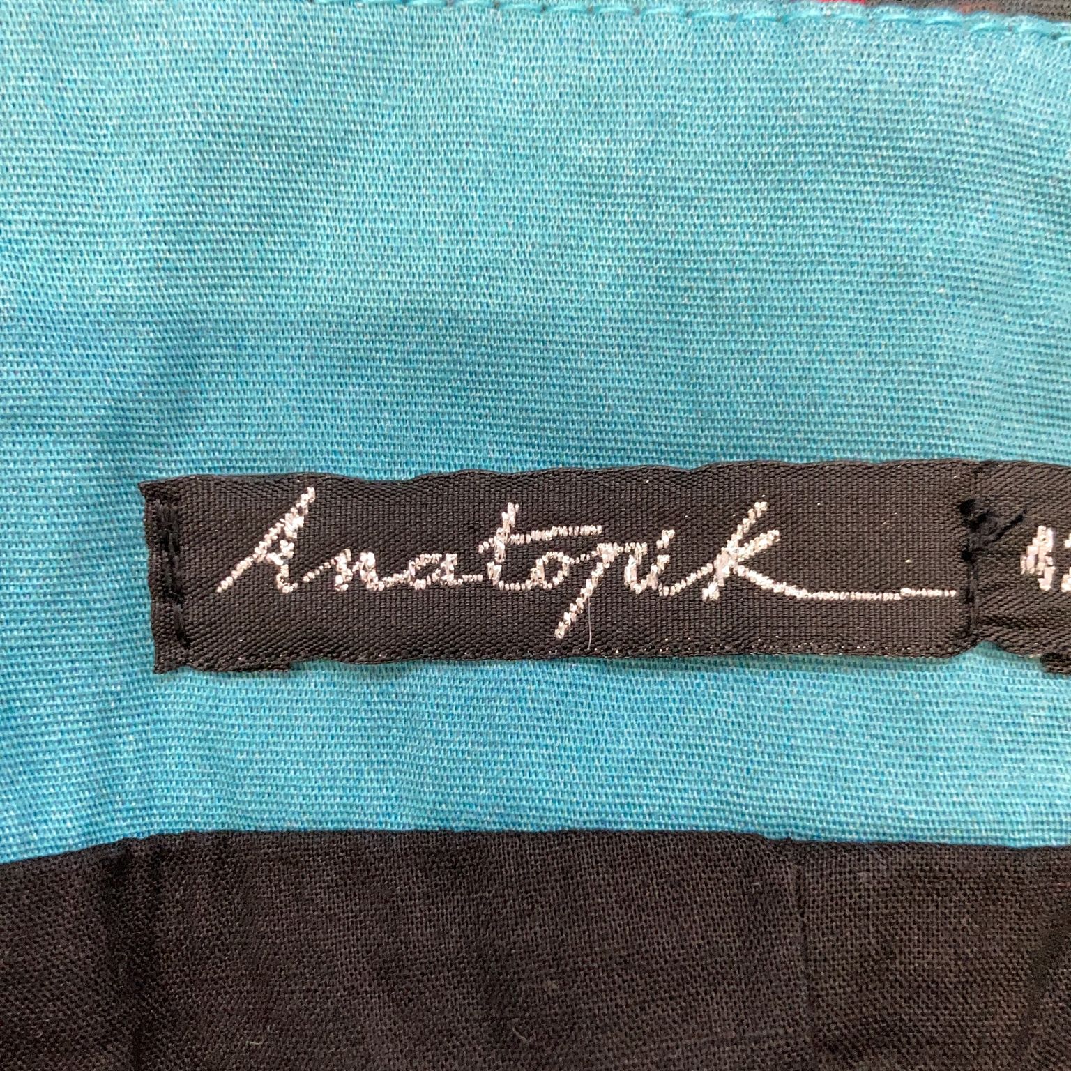 Anatopik