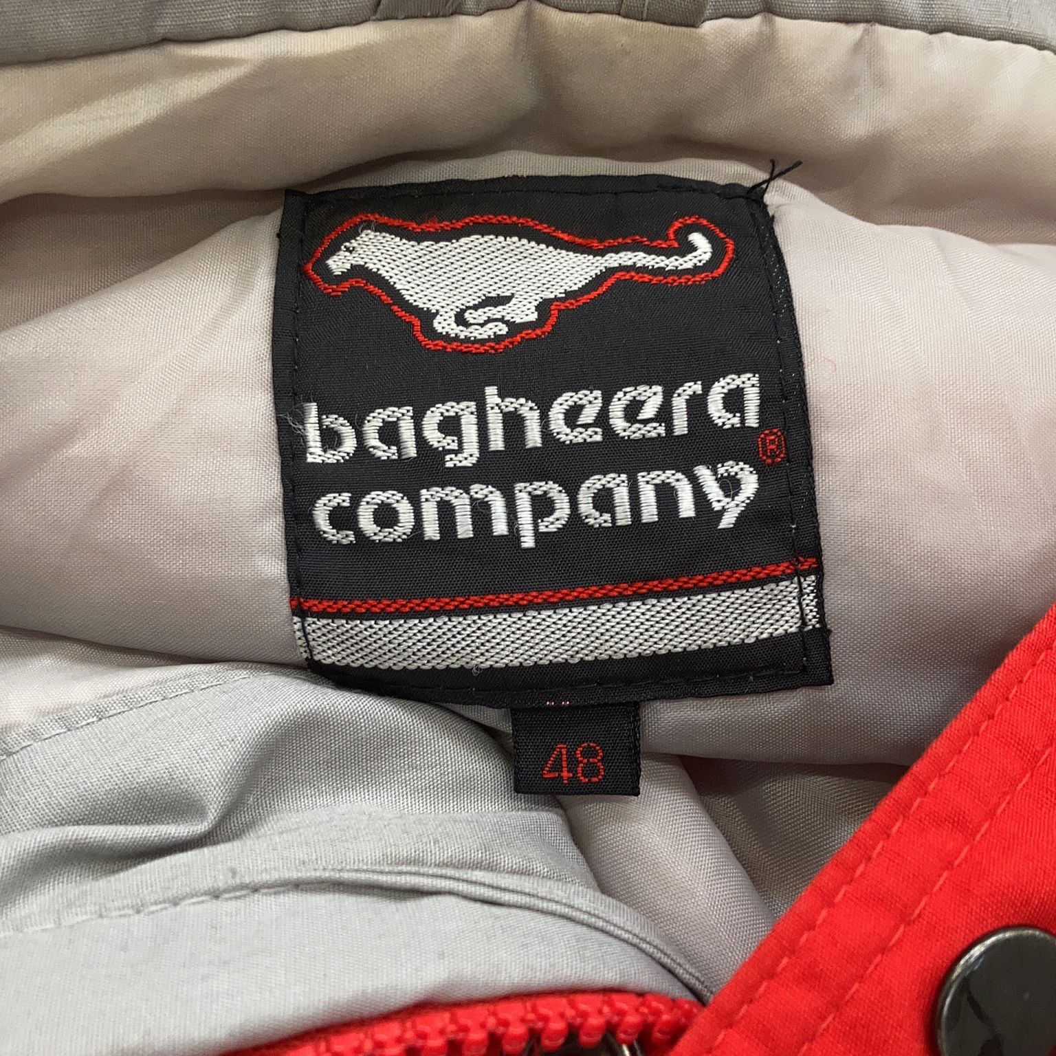 Bagheera Company