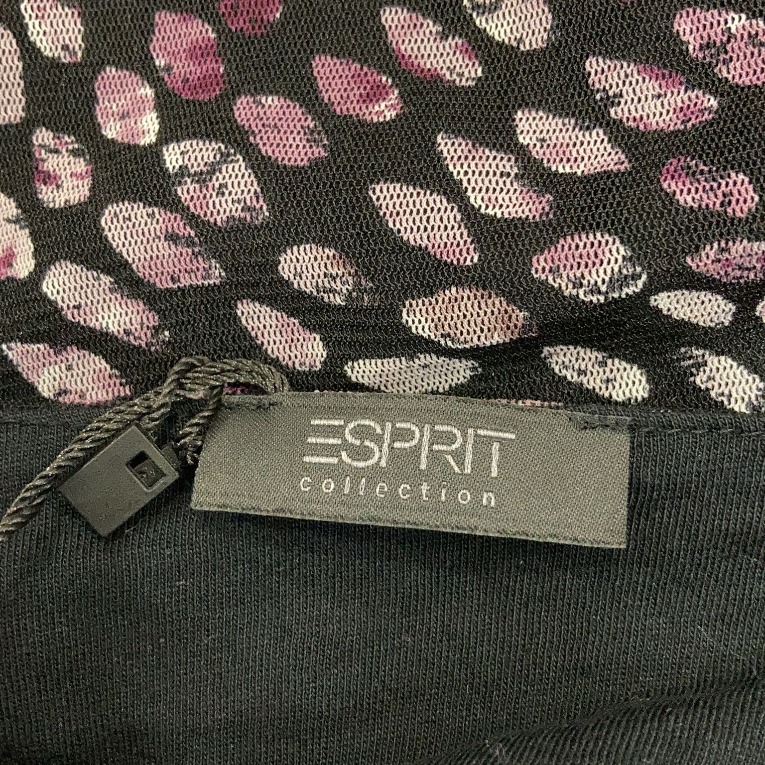 ESPRIT Collection