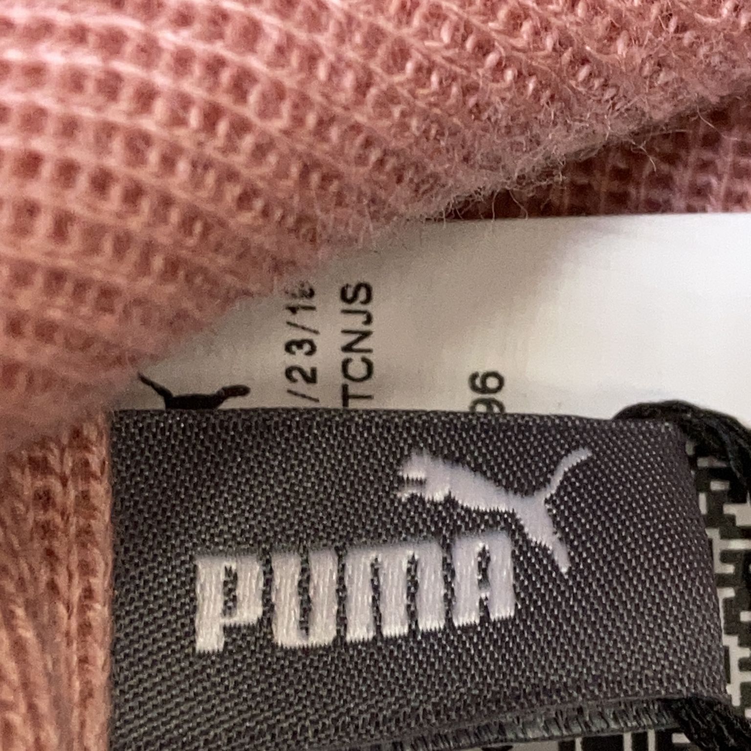 Puma