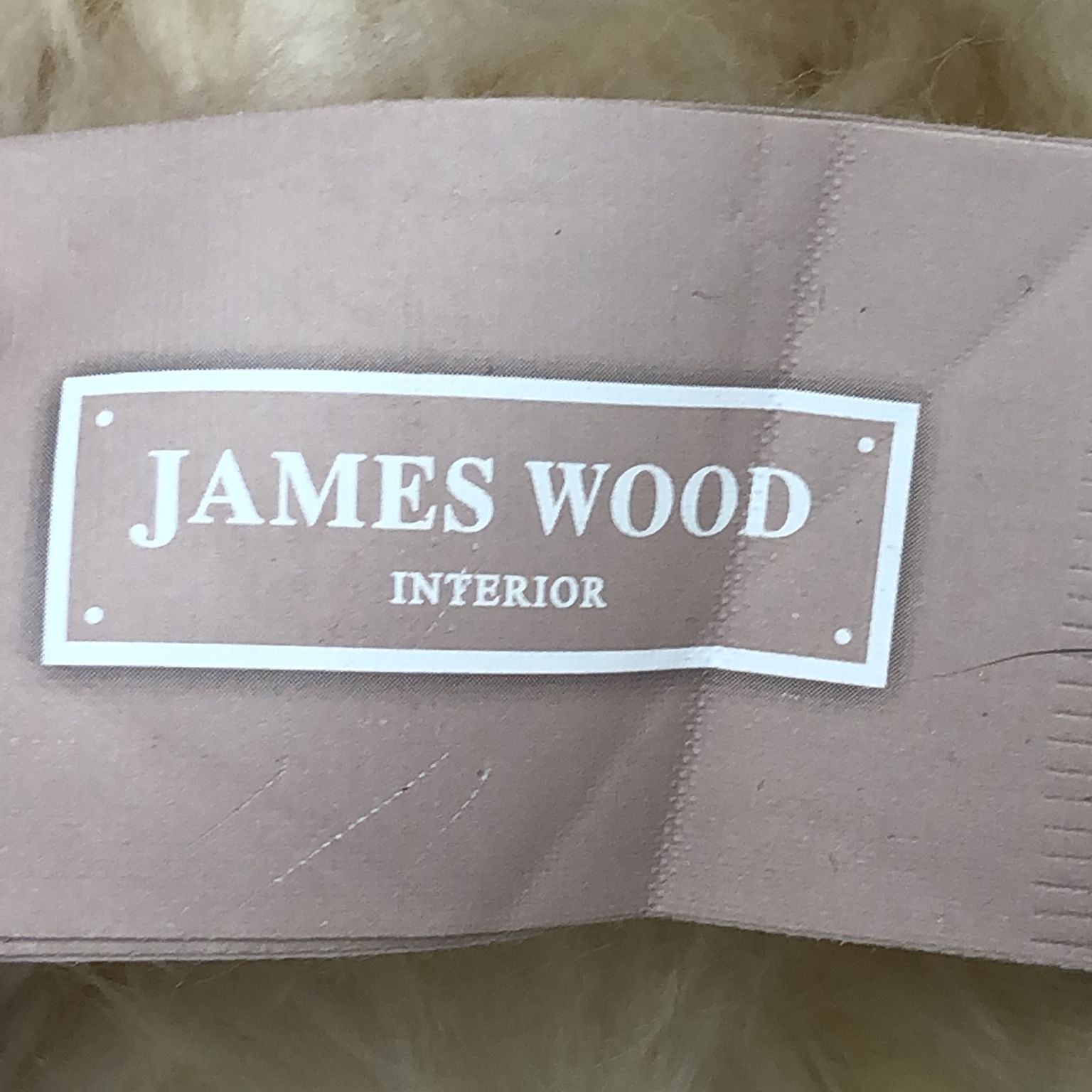 James Wood