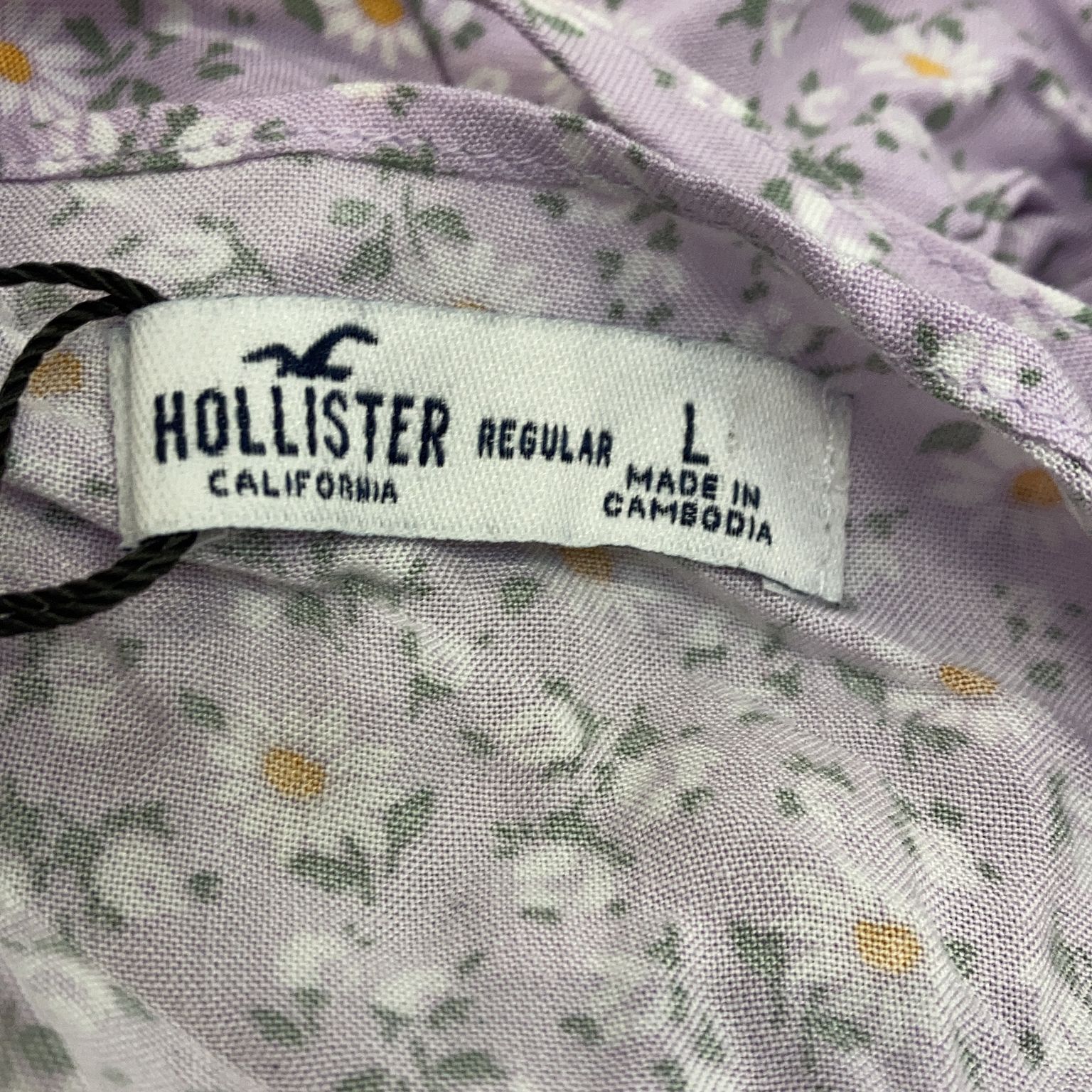 Hollister California