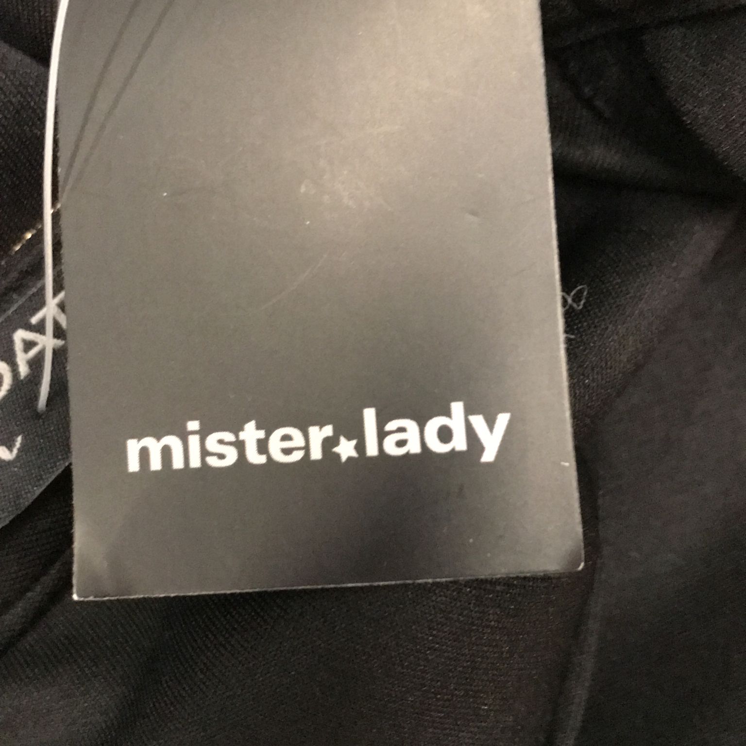 Mister Lady