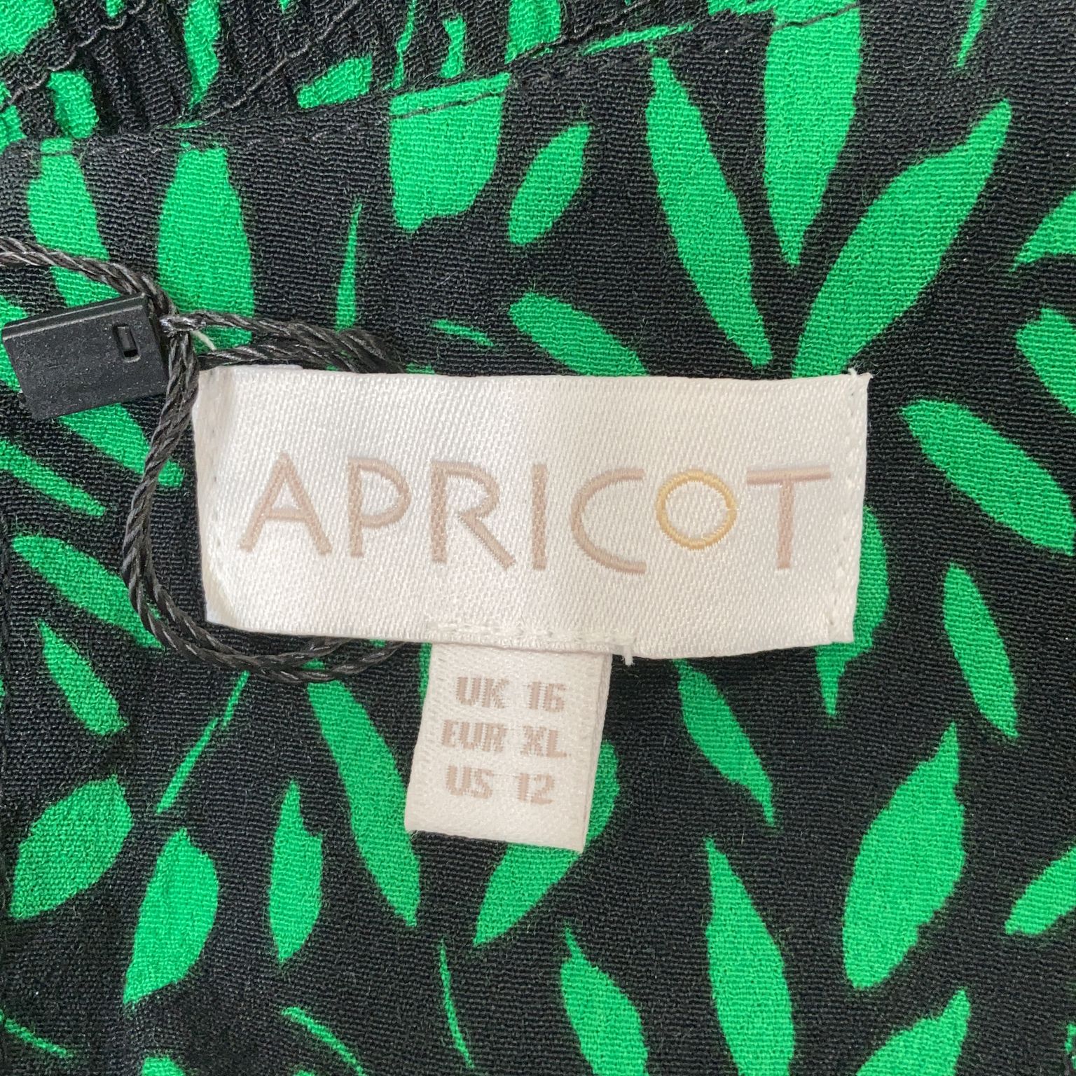 Apricot