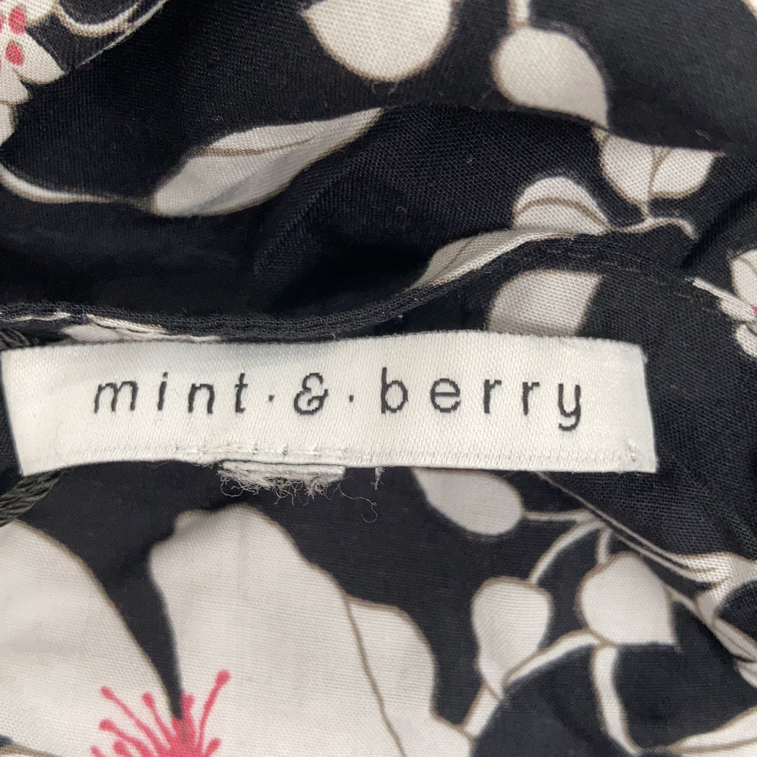 Mint  Berry