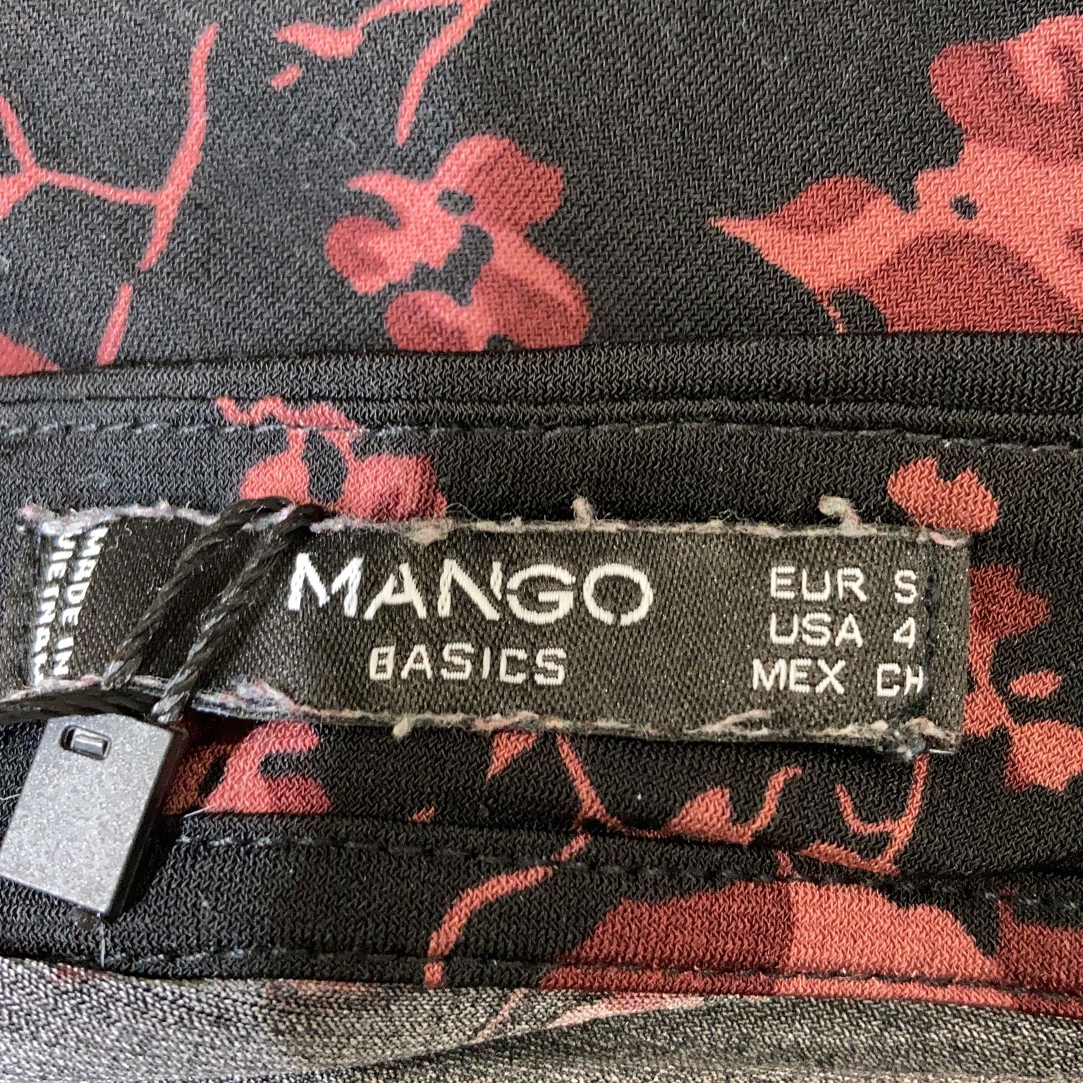 Mango Basics