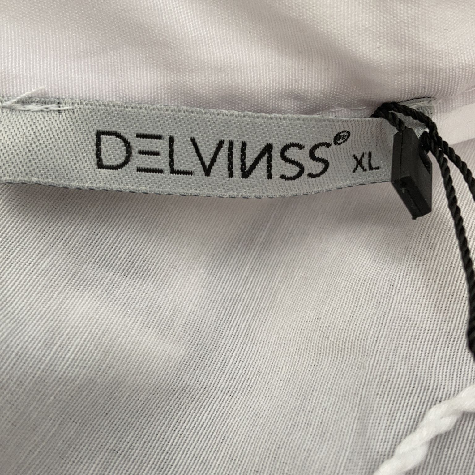 Delvinss