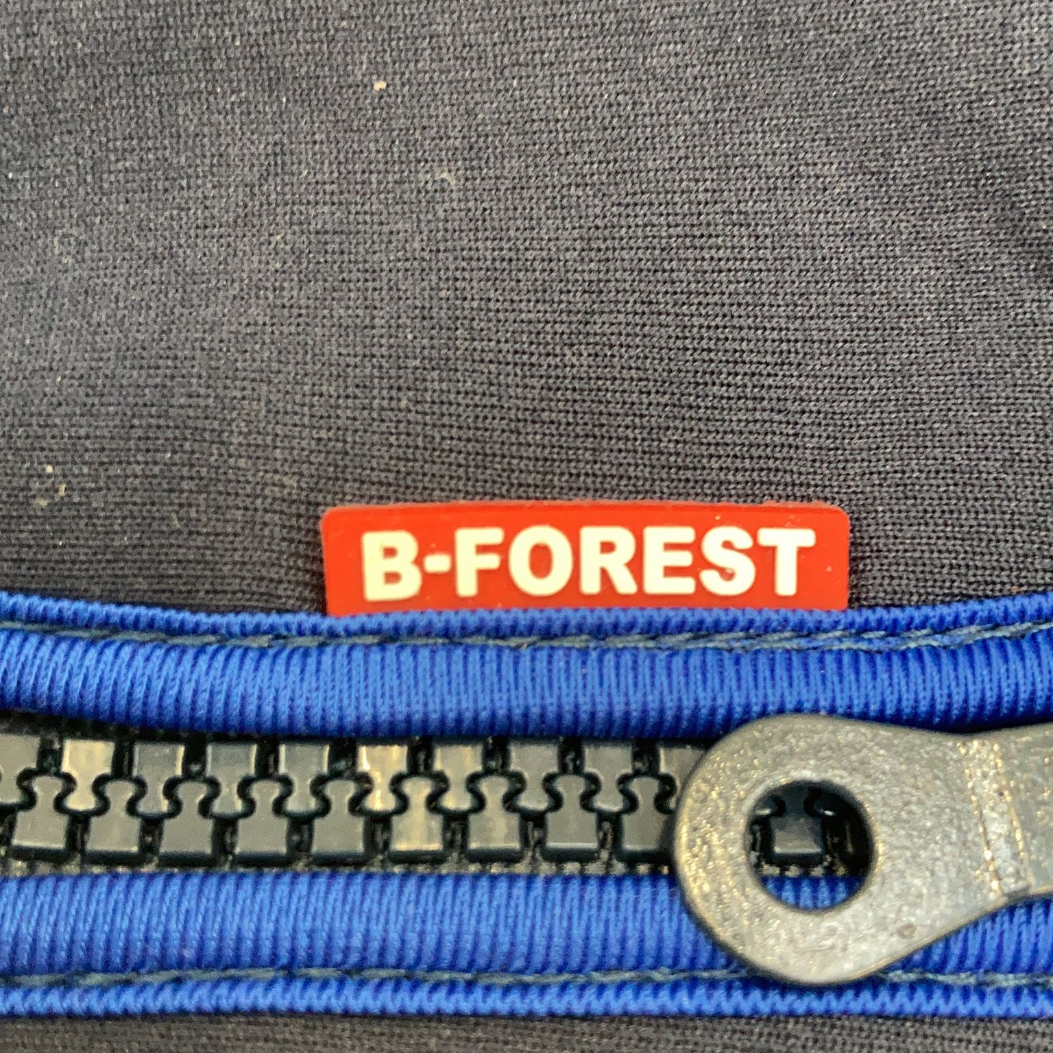 B-Forest