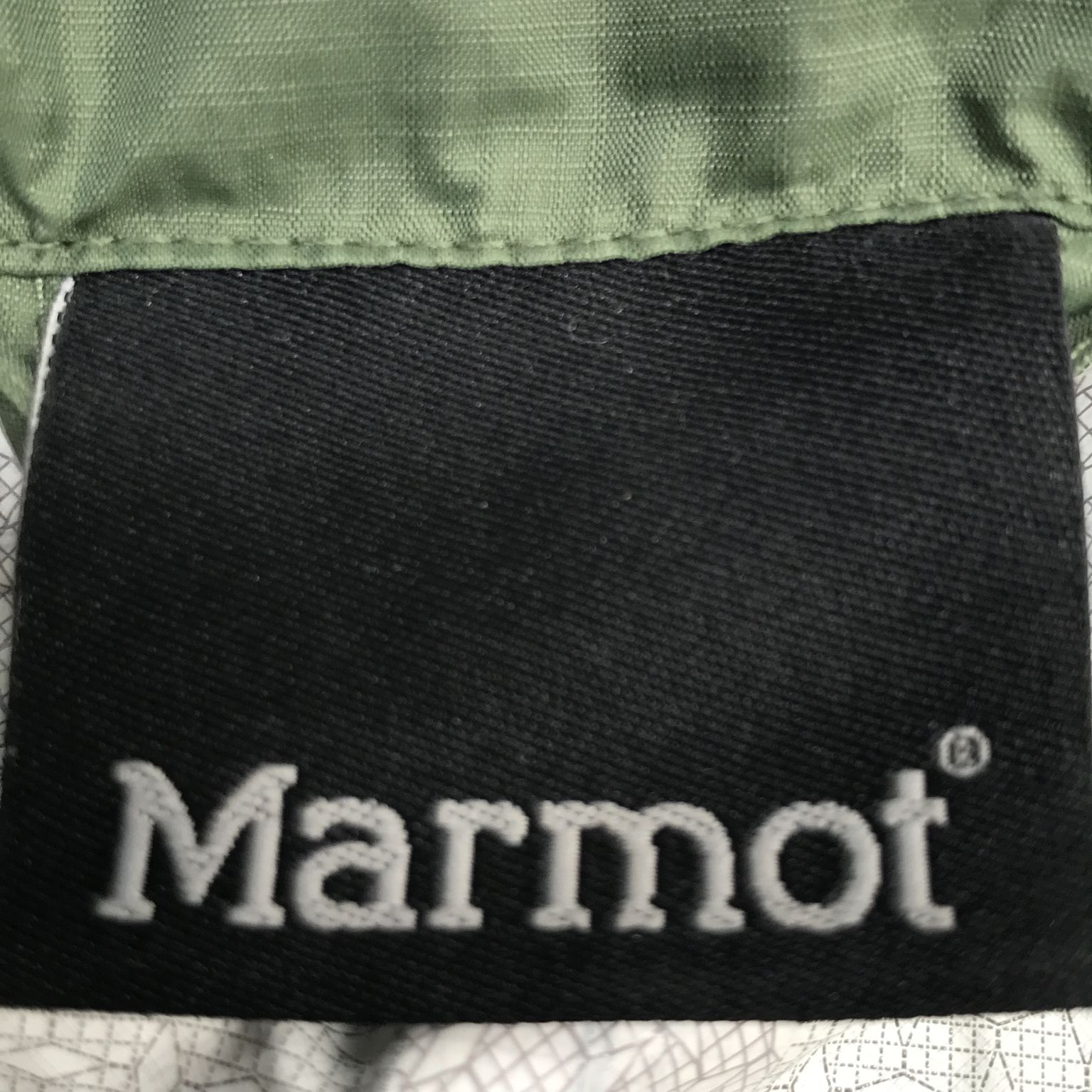 Marmot