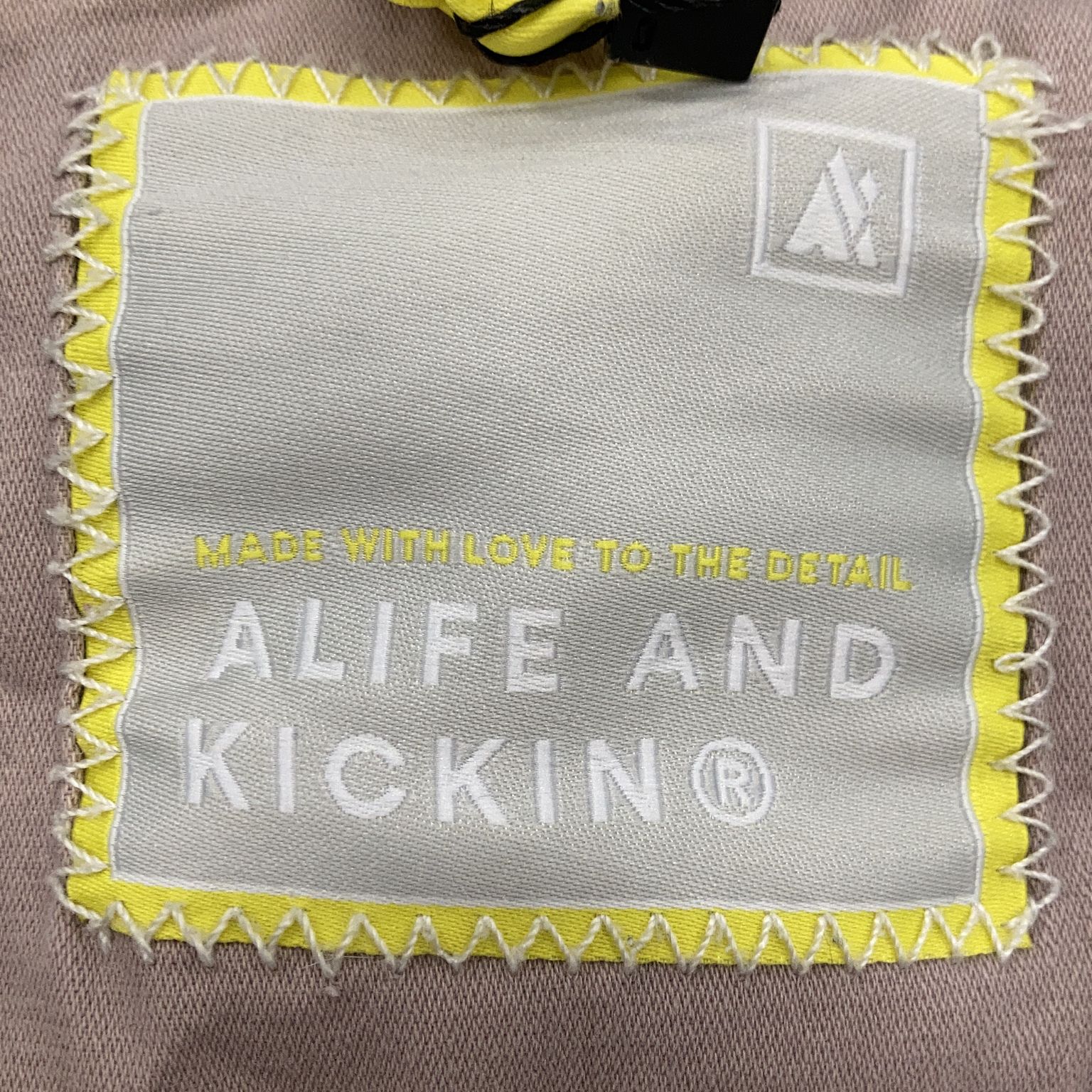 Alife and Kickin