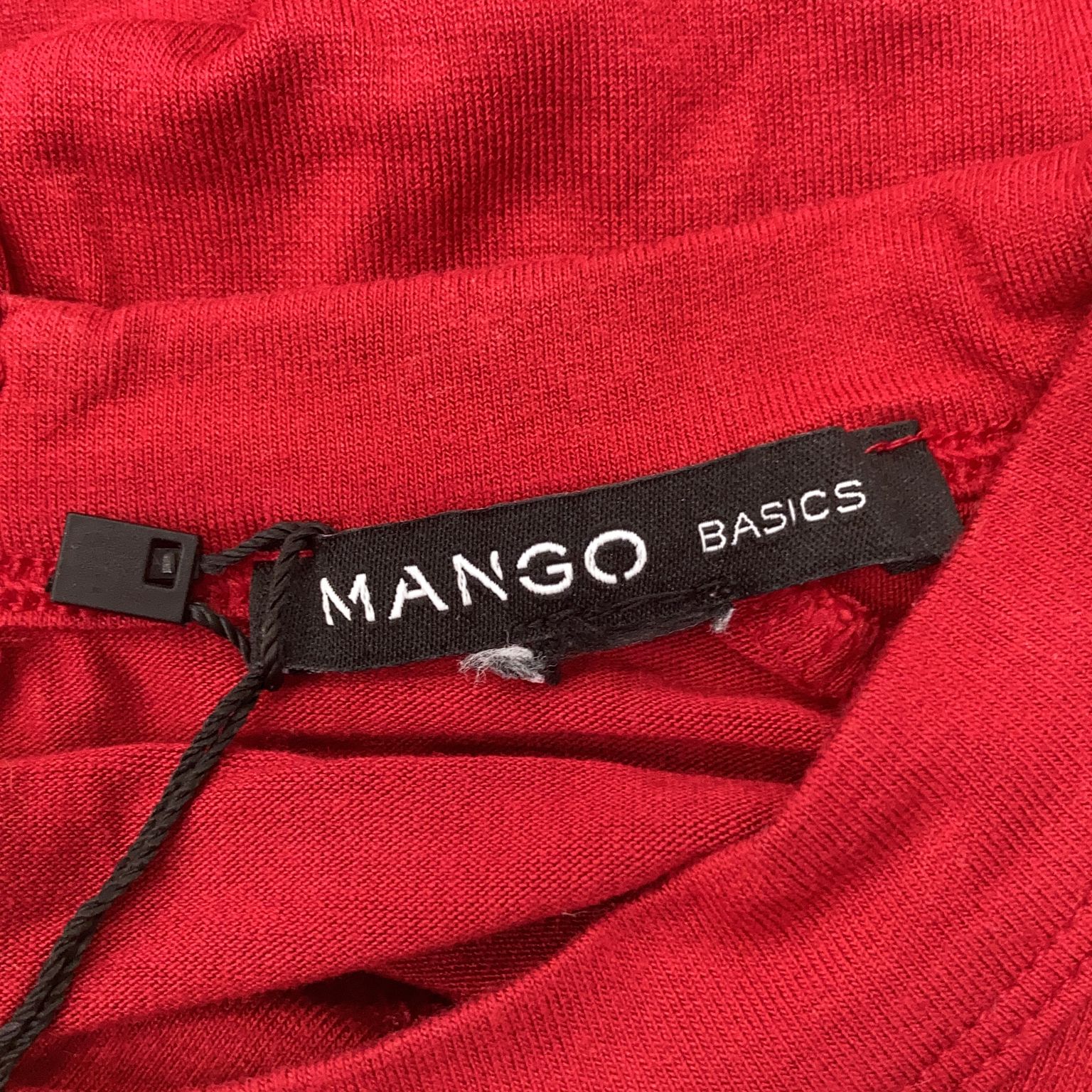 Mango Basics