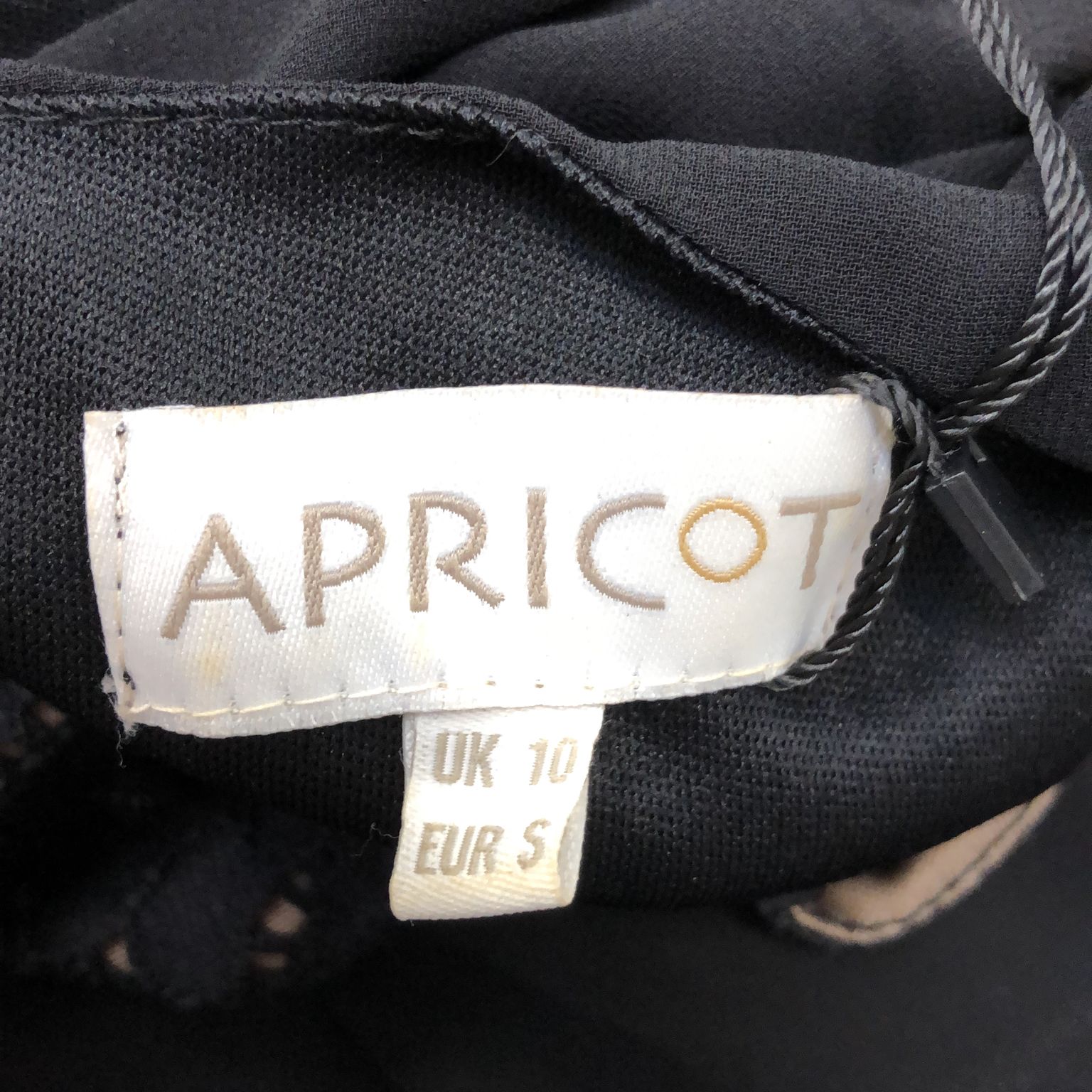 Apricot