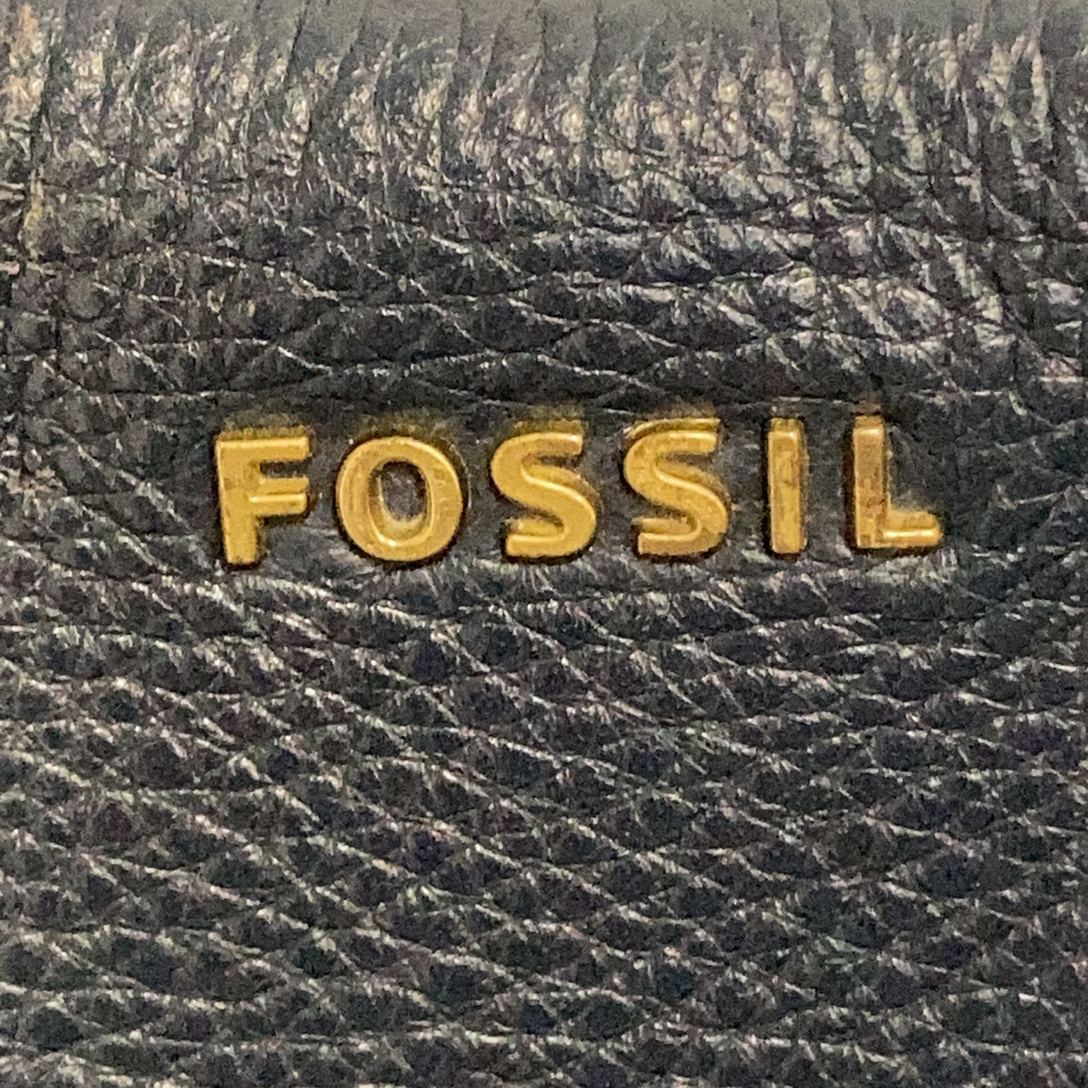 Fossil