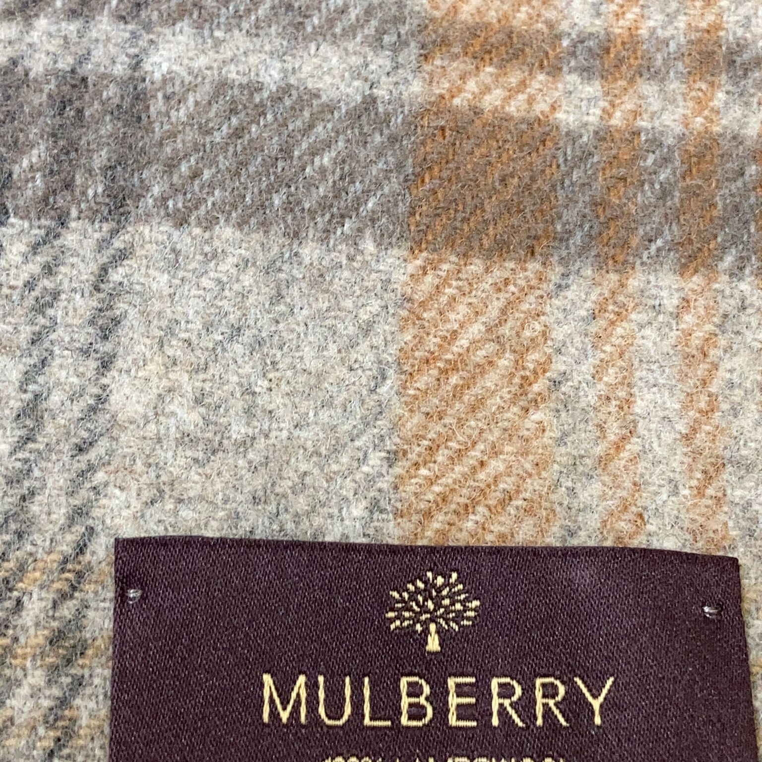 Mulberry