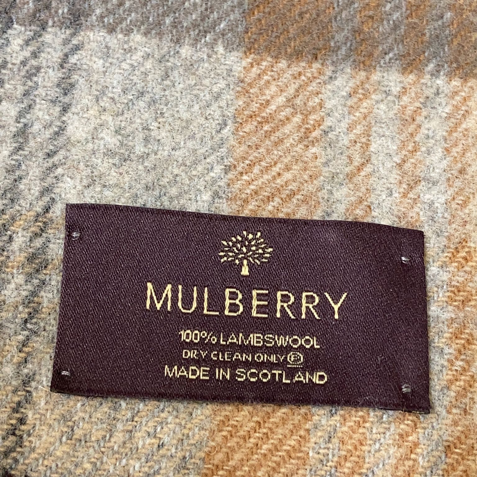 Mulberry