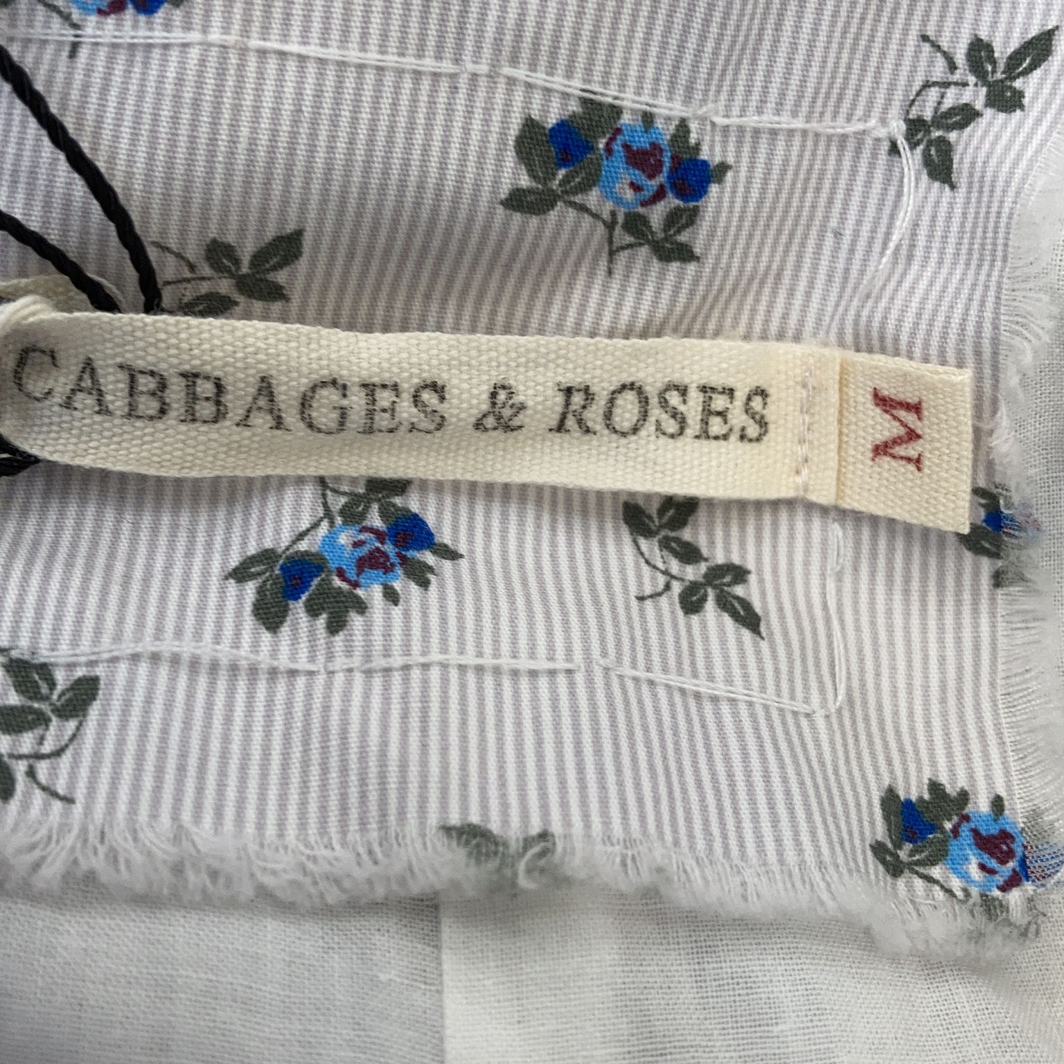 Cabbages  Roses