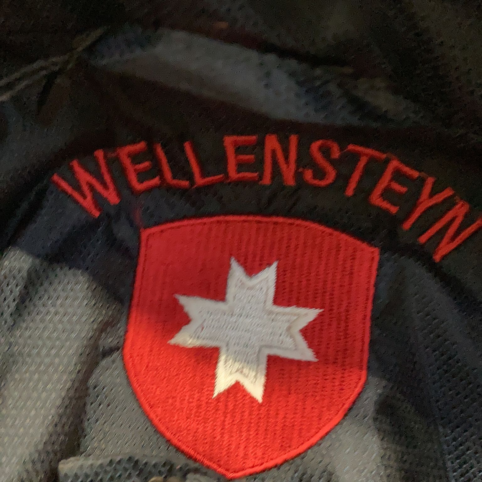 Wellensteyn