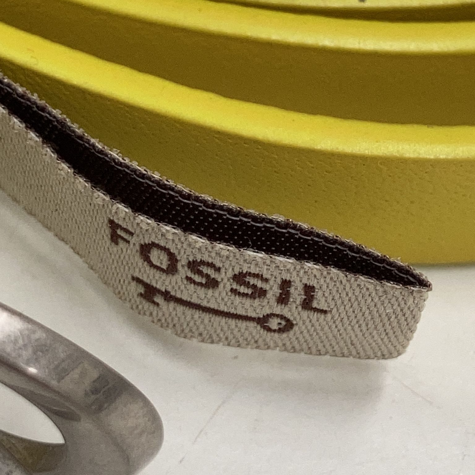 Fossil