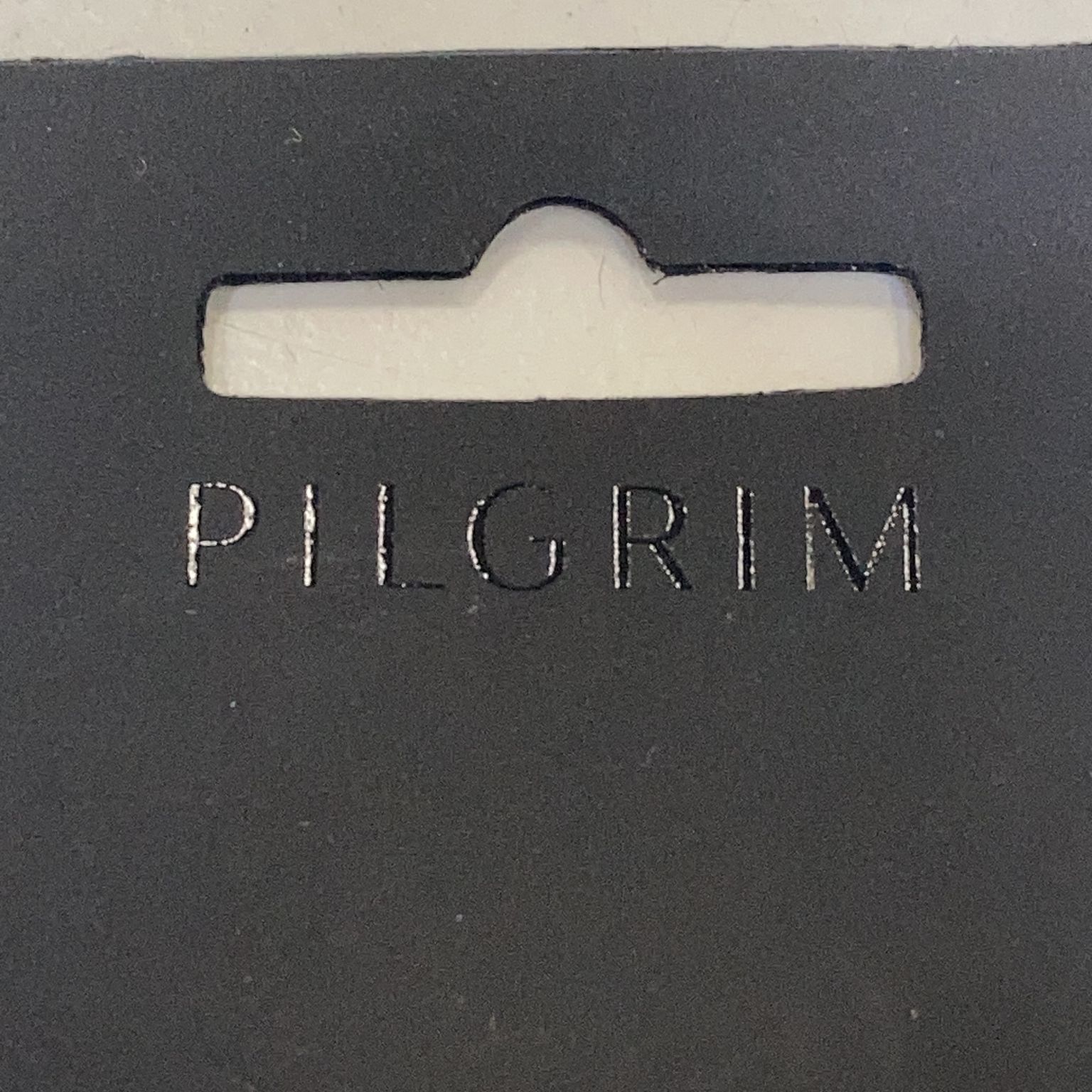 Pilgrim