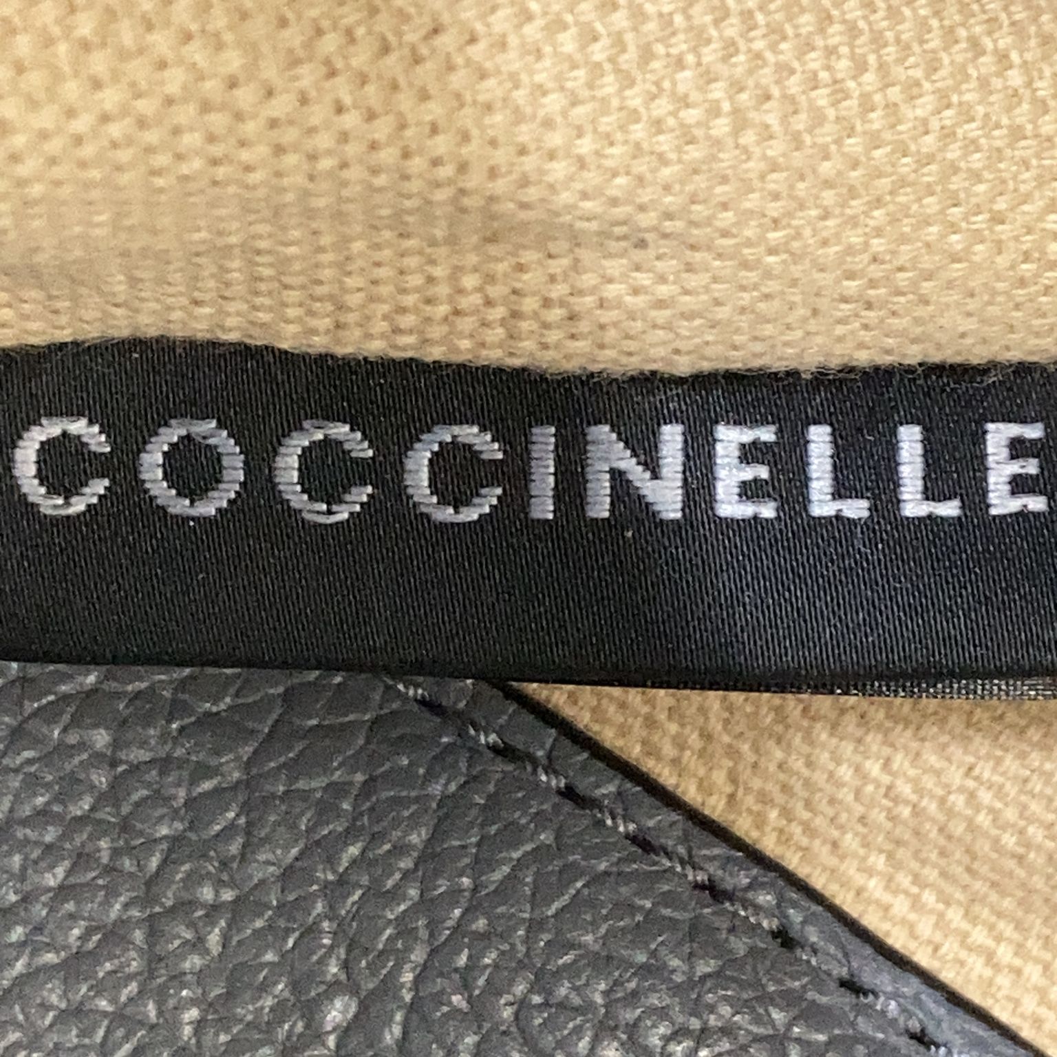 Coccinelle